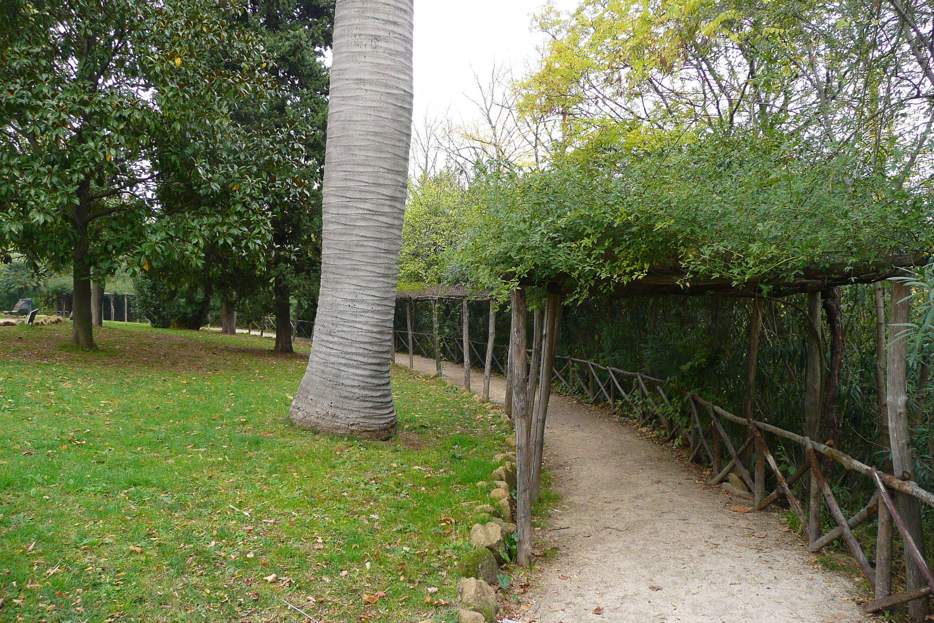 照片 意大利(Italy) 罗马(Rome) 夏拉别墅公园(Villa Sciarra) 2007-11 41