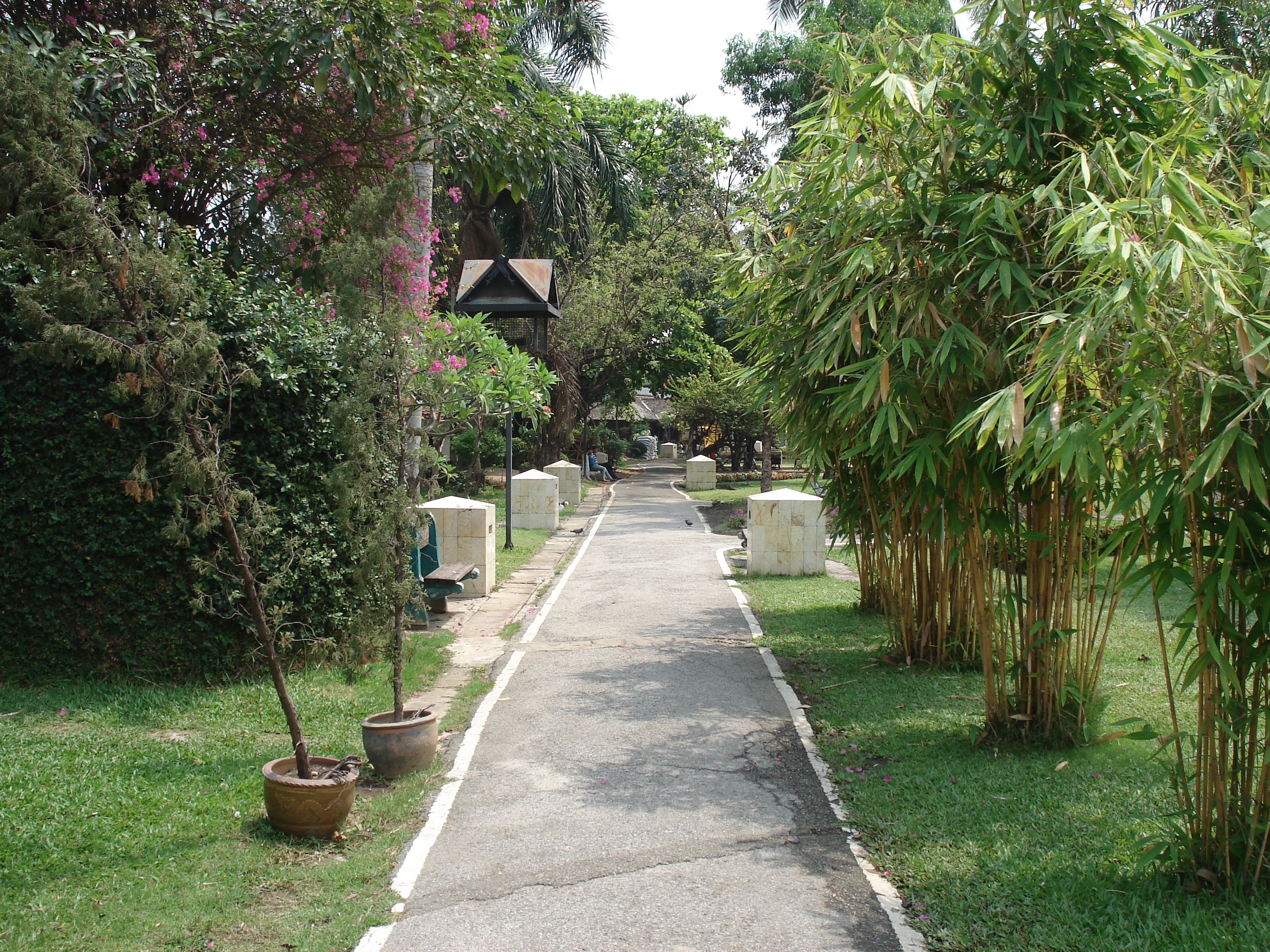 照片 泰国(Thailand) 清迈(Chiang Mai) 护城河内(Inside Canal) 布阿哈公园(Buak Had Park) 2006-04 5