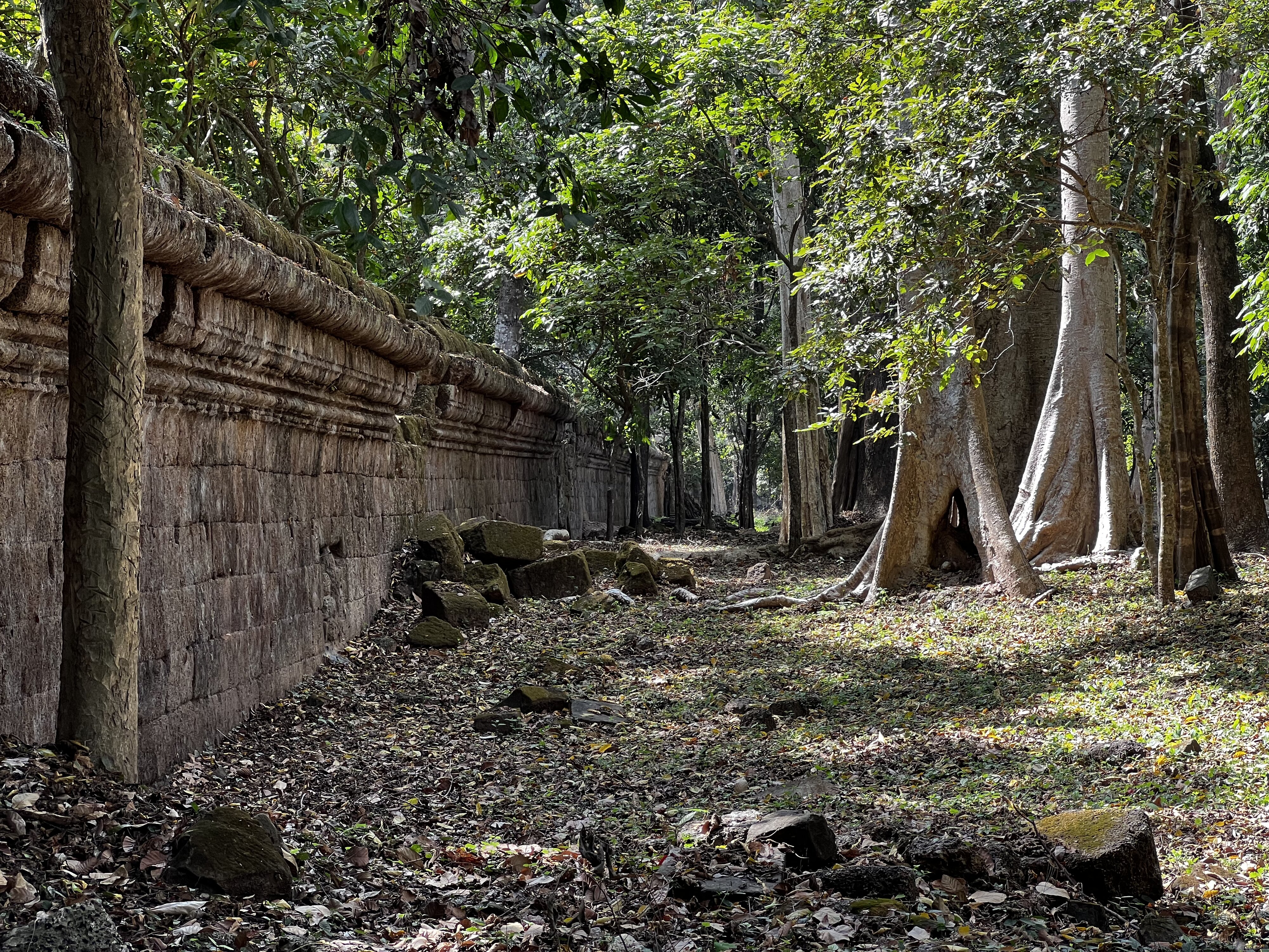 照片 柬埔寨(Cambodia) 暹粒(Siem Reap) 吴哥通王城(Angkor Thom) 2023-01 27