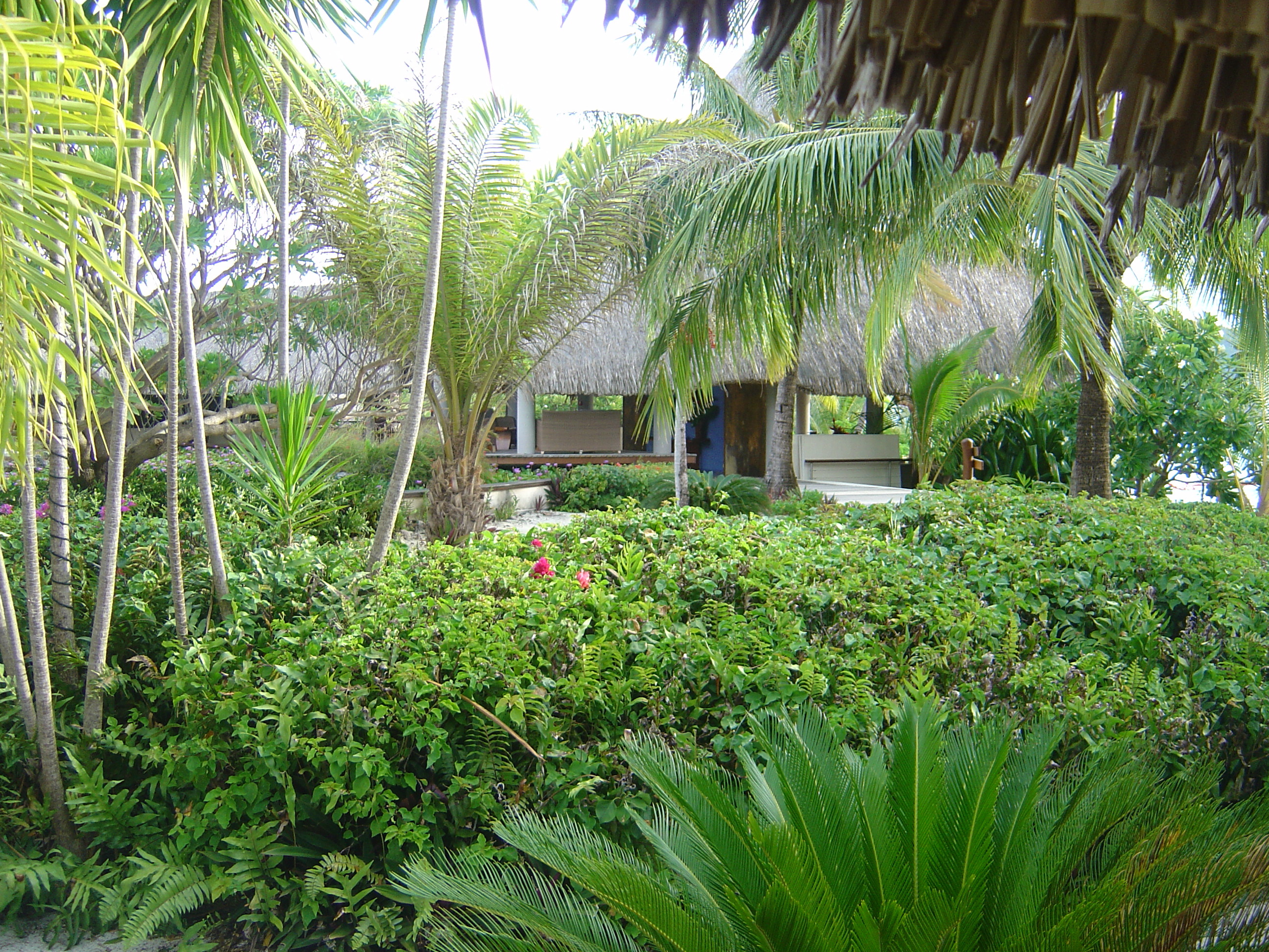 照片 波利尼西亚(Polynesia) 波拉波拉艾美酒店(Meridien Bora Bora Hotel) 2006-04 187