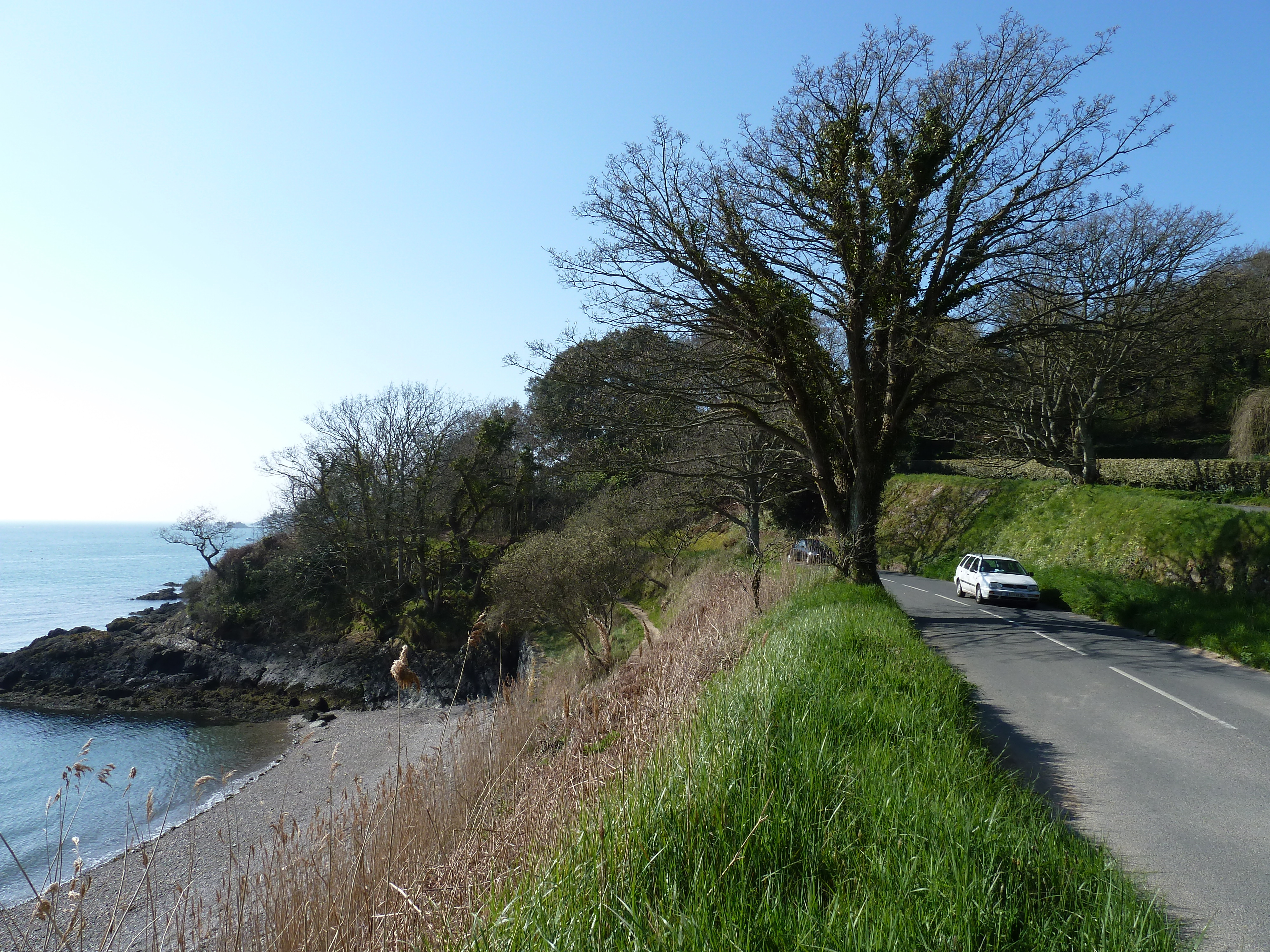 照片 泽西岛(Jersey) 2010-04 146