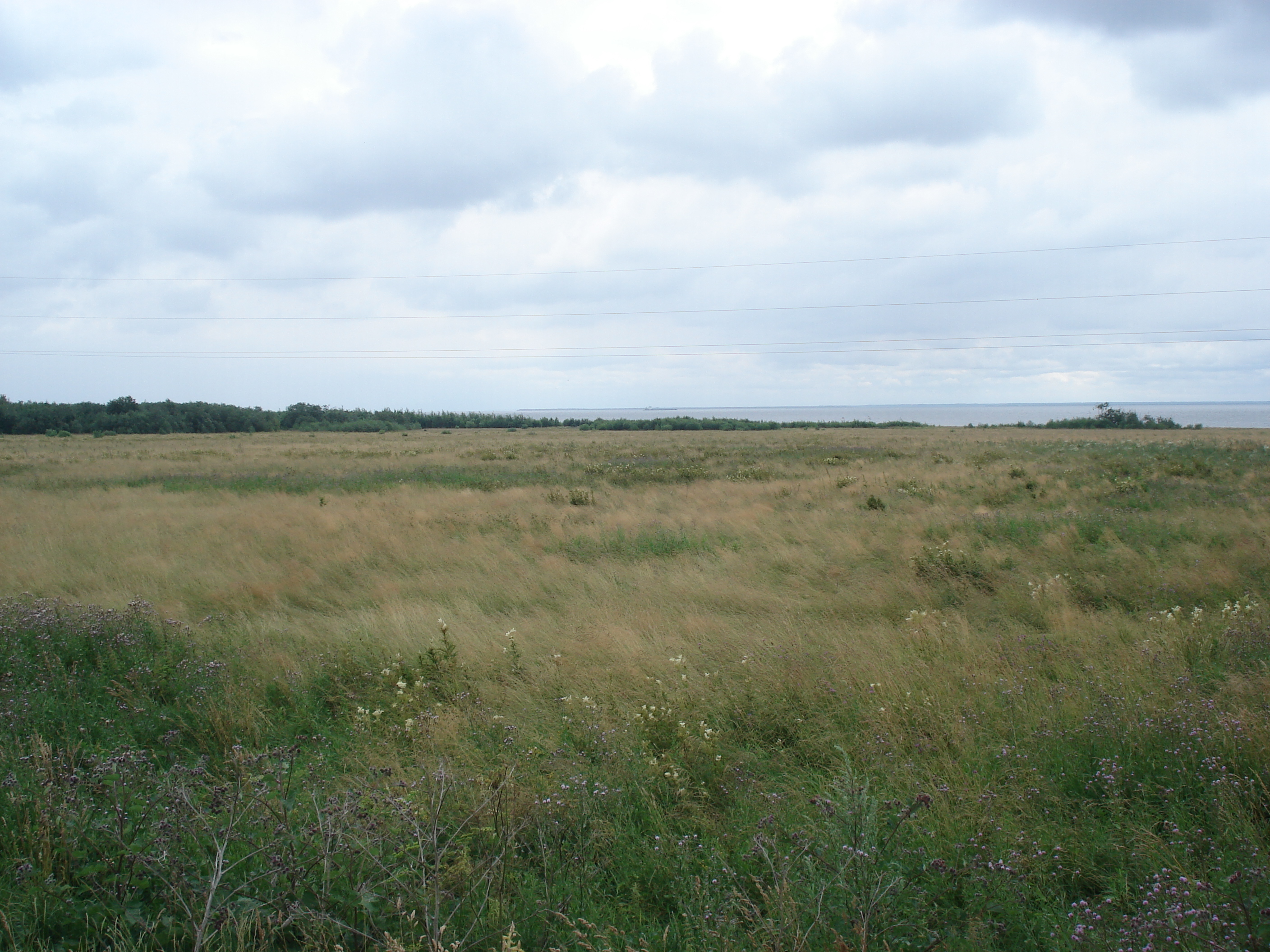 照片 俄罗斯(Russia) 雅罗斯拉夫尔至圣彼得堡(From Yaroslavl to St Petersburg) 2006-07 32