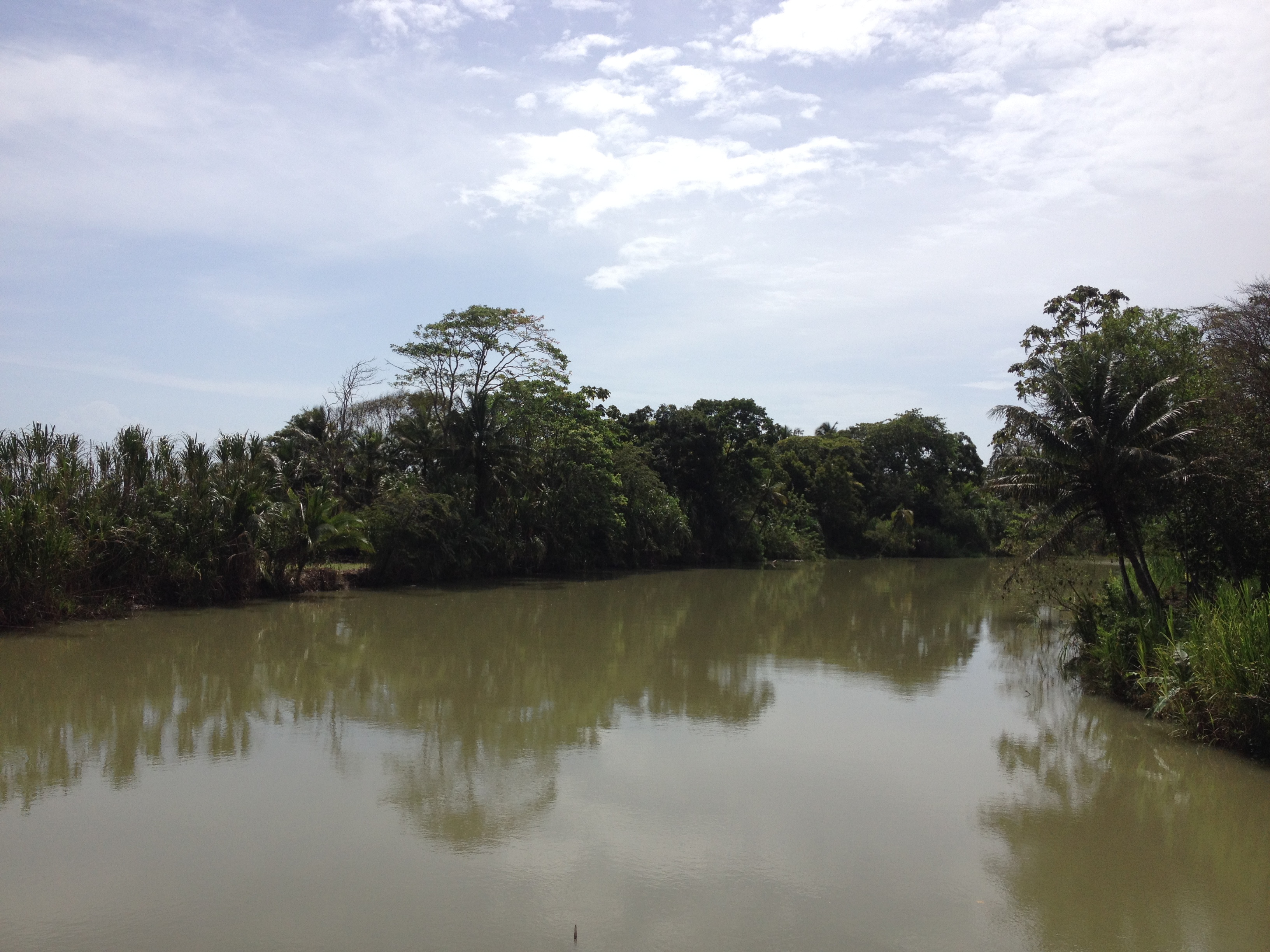 照片 哥斯达黎加(Costa Rica) 利蒙至锡基雷斯(Limon to Siquirres) 2015-03 7