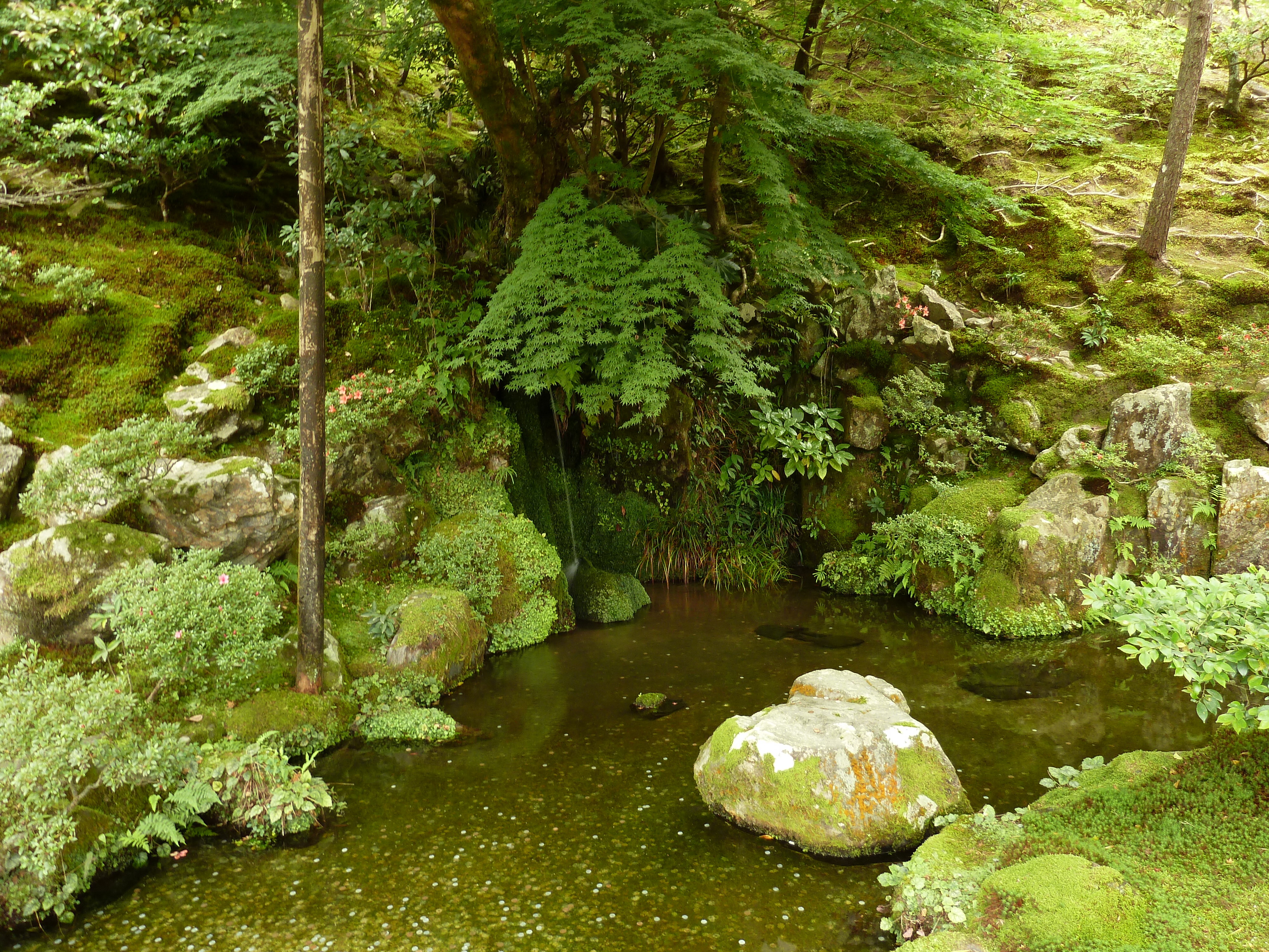 照片 日本(Japan) 京都(Kyoto) 银阁寺(Ginkakuji Temple(Silver Pavilion)) 2010-06 35