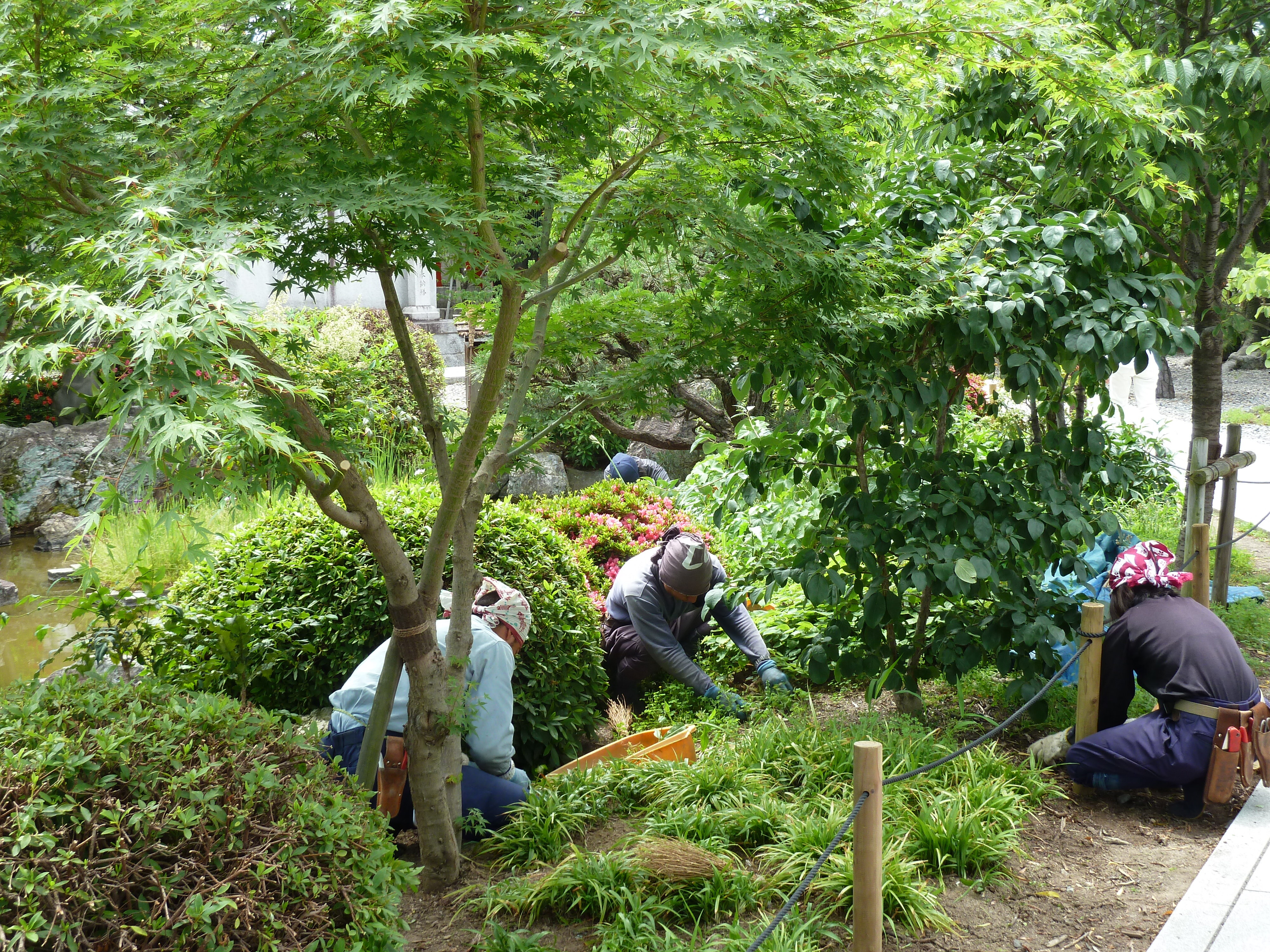 照片 日本(Japan) 京都(Kyoto) 三十三间堂(Sanjusangendo temple) 2010-06 12
