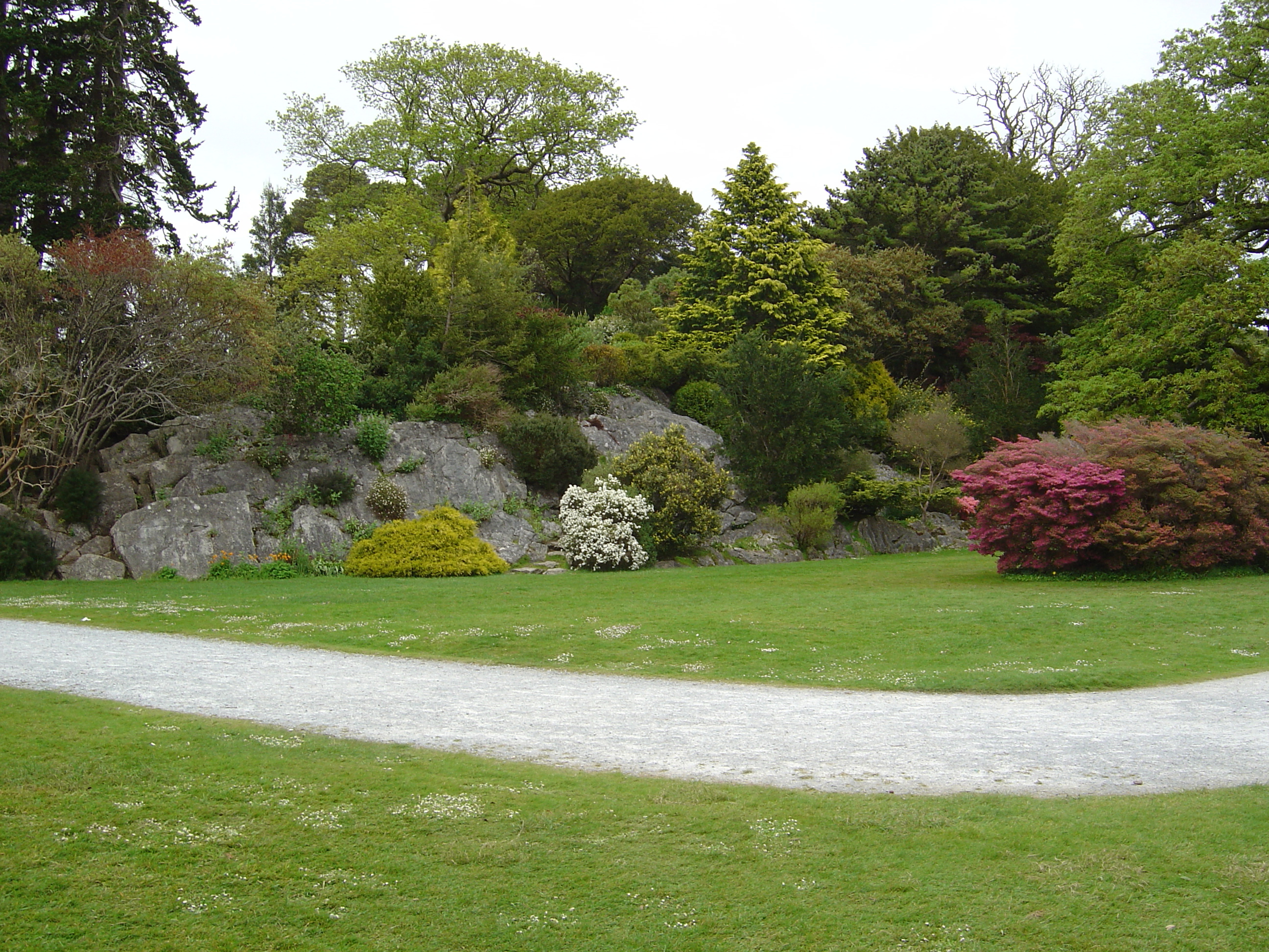 照片 爱尔兰(Ireland) 凯里郡(Kerry) 基拉尼国家公园(Killarney National Park) 马克罗斯庄园(Muckross House) 2004-05 7
