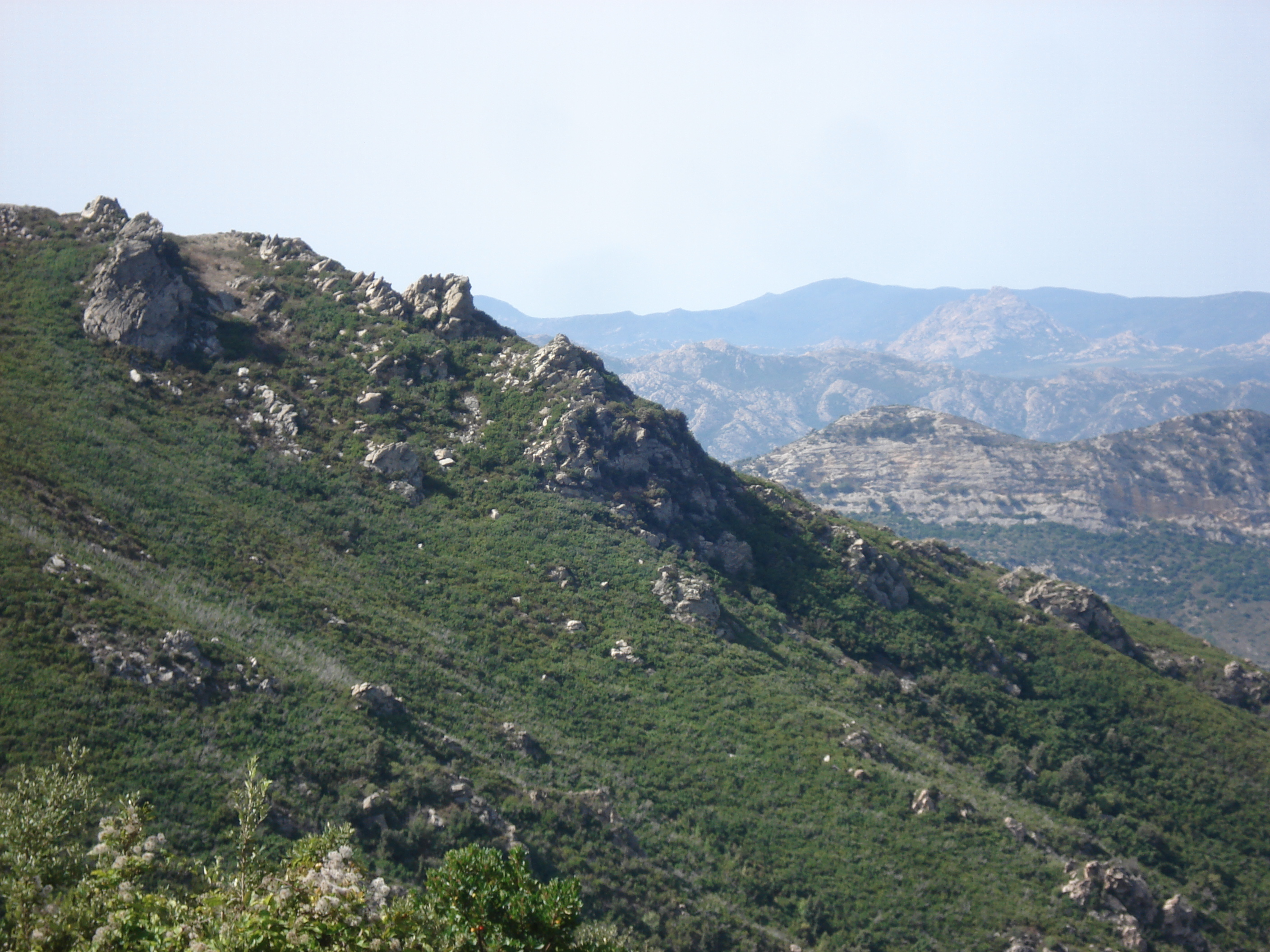 照片 法国(France) 科西嘉岛(Corsica) 巴斯蒂亚至圣弗洛朗公路(Bastia to Saint Florent Road) 2006-09 12