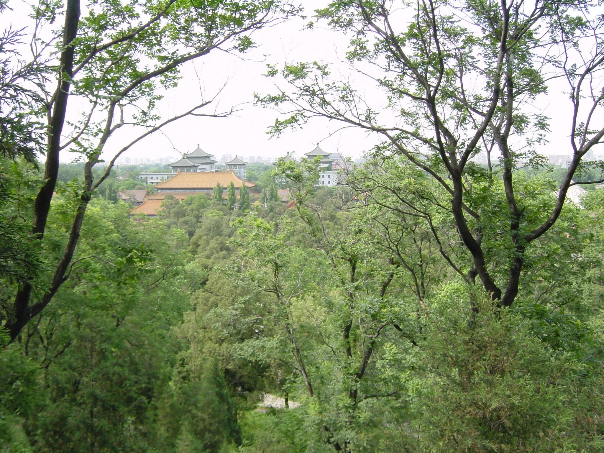 照片 中国(China) 北京(Beijing) 北海公园(Beihai Park) 2002-05 66