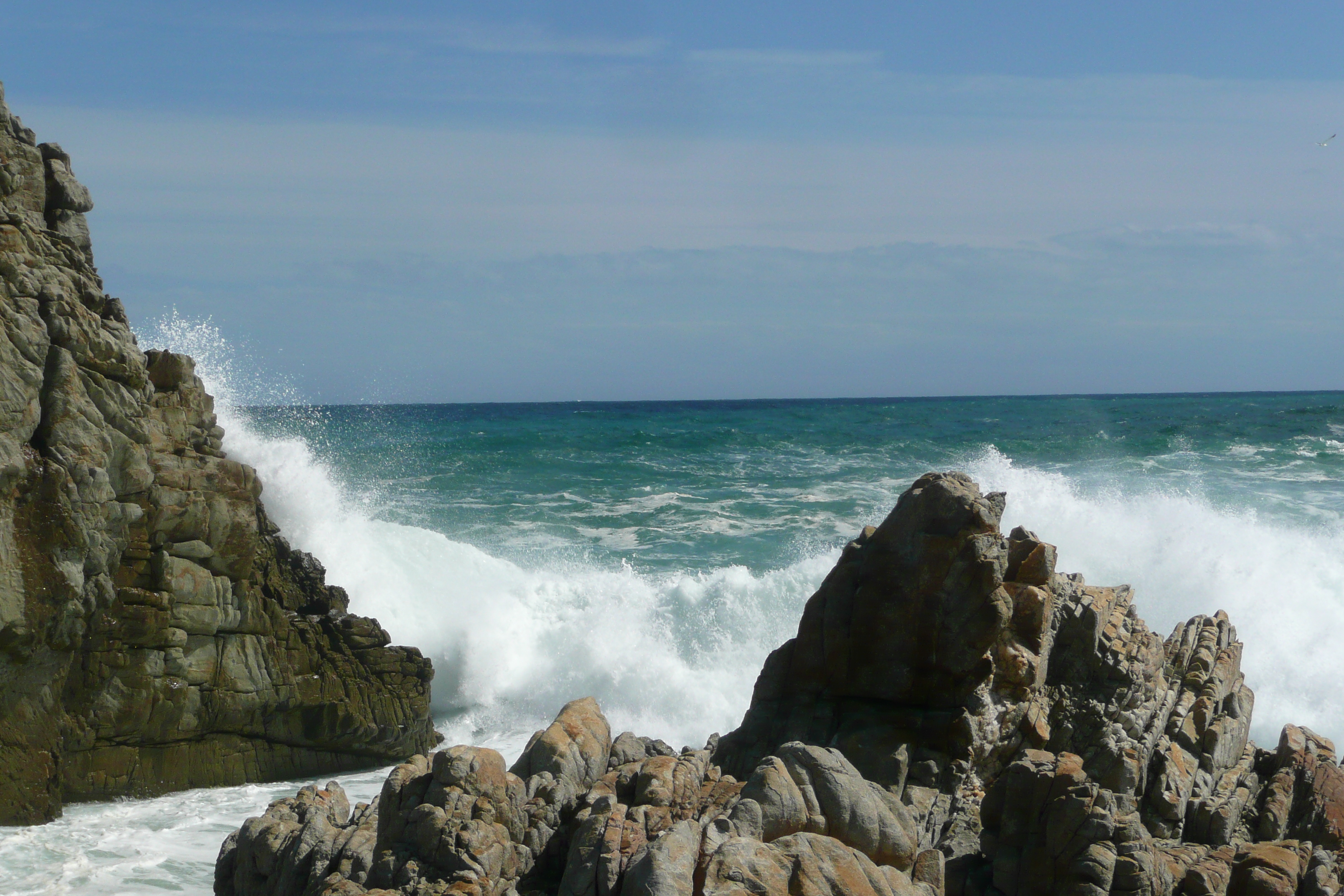 照片 南非(South Africa) 齐齐卡马国家公园(Tsitsikamma National Park) 2008-09 228
