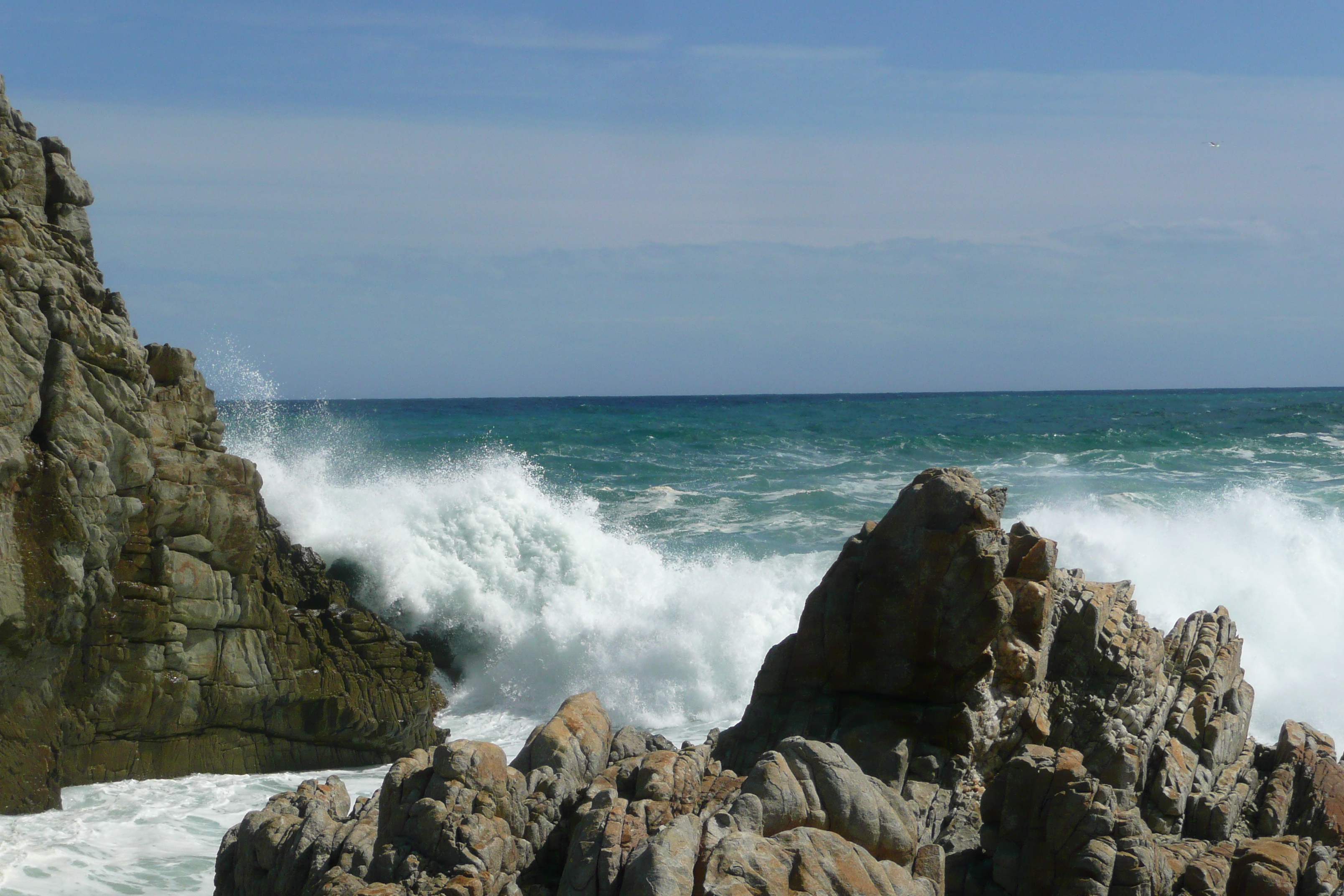 照片 南非(South Africa) 齐齐卡马国家公园(Tsitsikamma National Park) 2008-09 251
