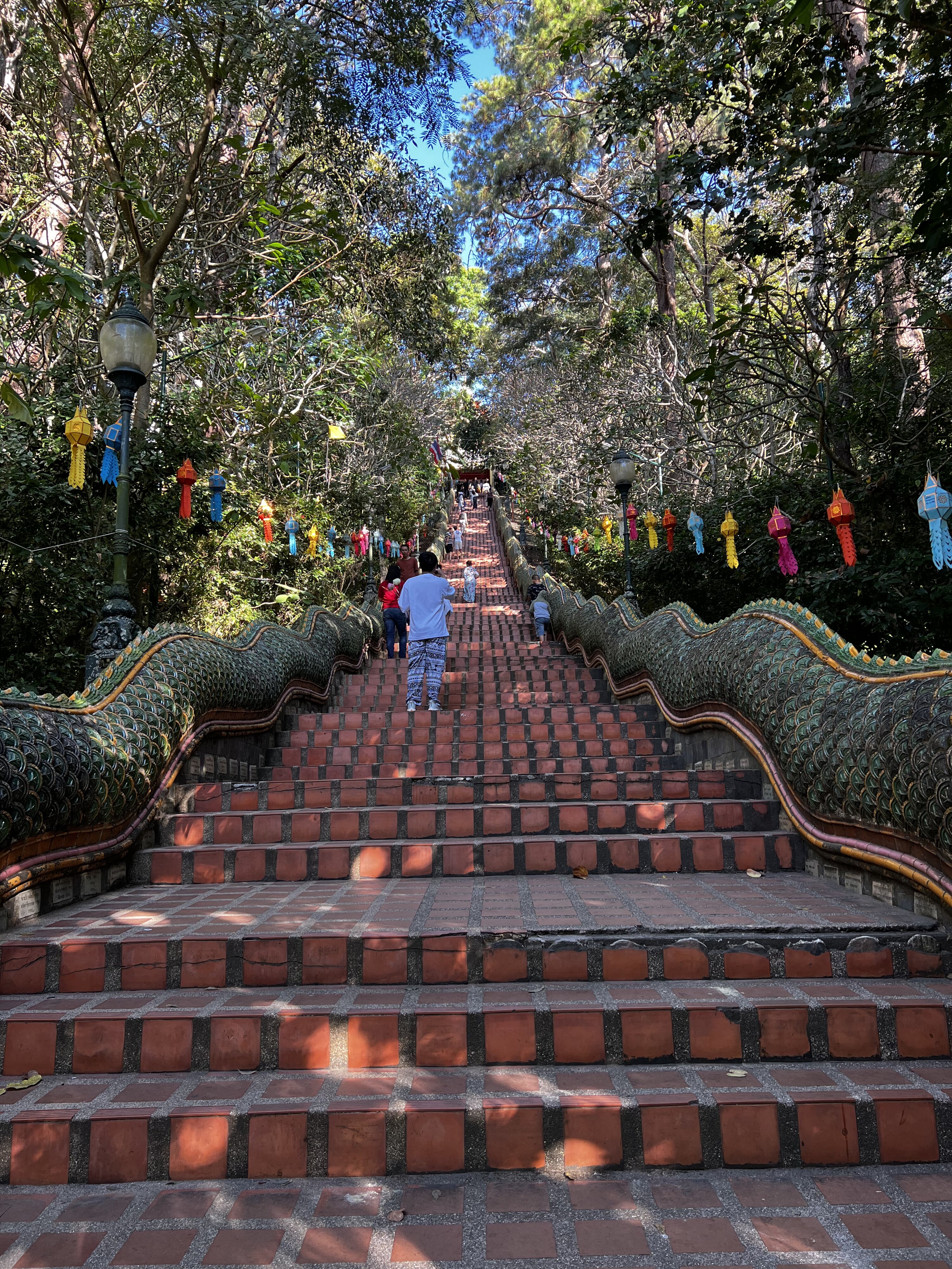 照片 泰国(Thailand) 清迈(Chiang Mai) 素贴山(Doi Suthep) 2024-01 25