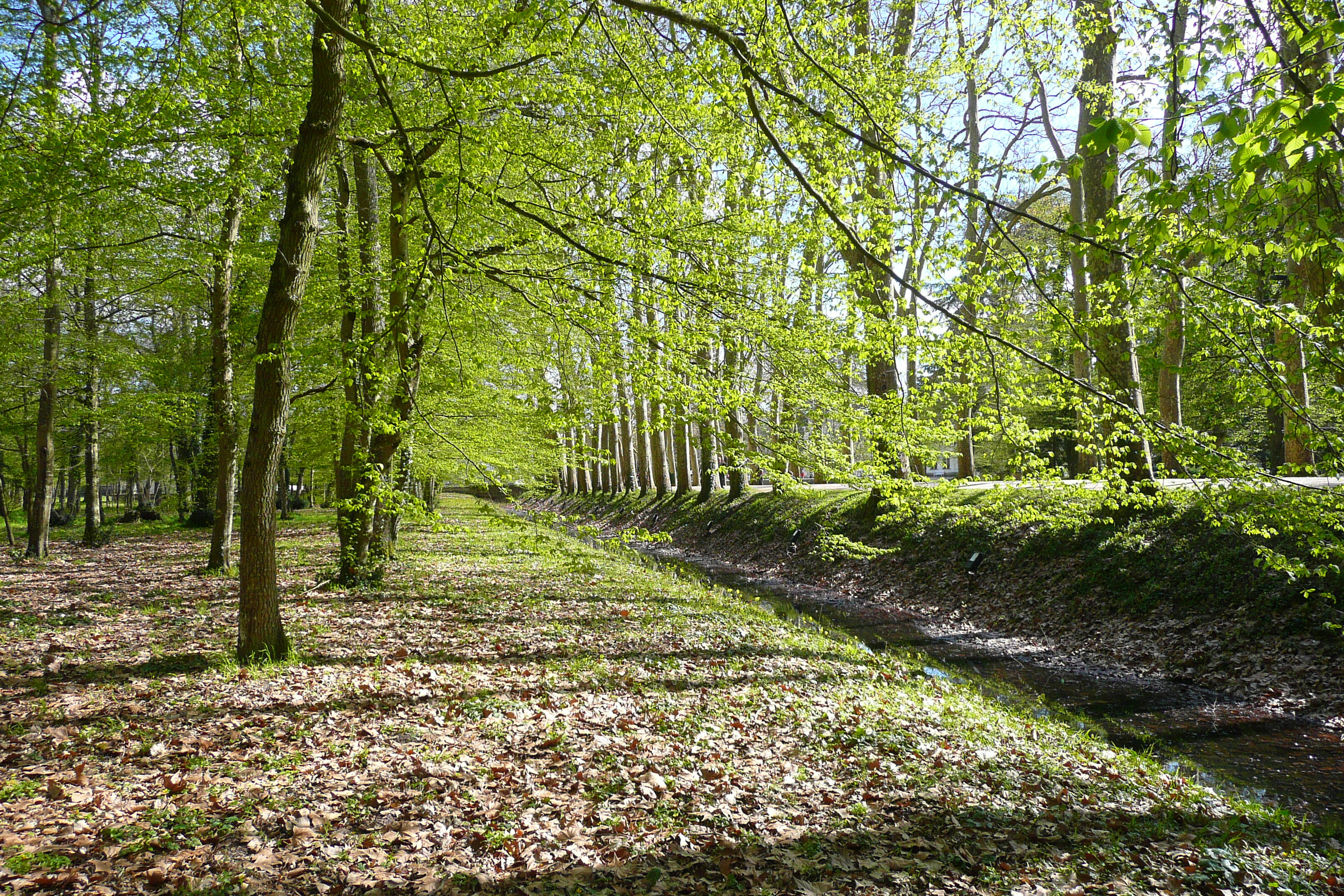 照片 法国(France) 舍农索城堡(Chenonceau Castle) 舍农索城堡花园(Gardens of Chenonceau) 2008-04 23