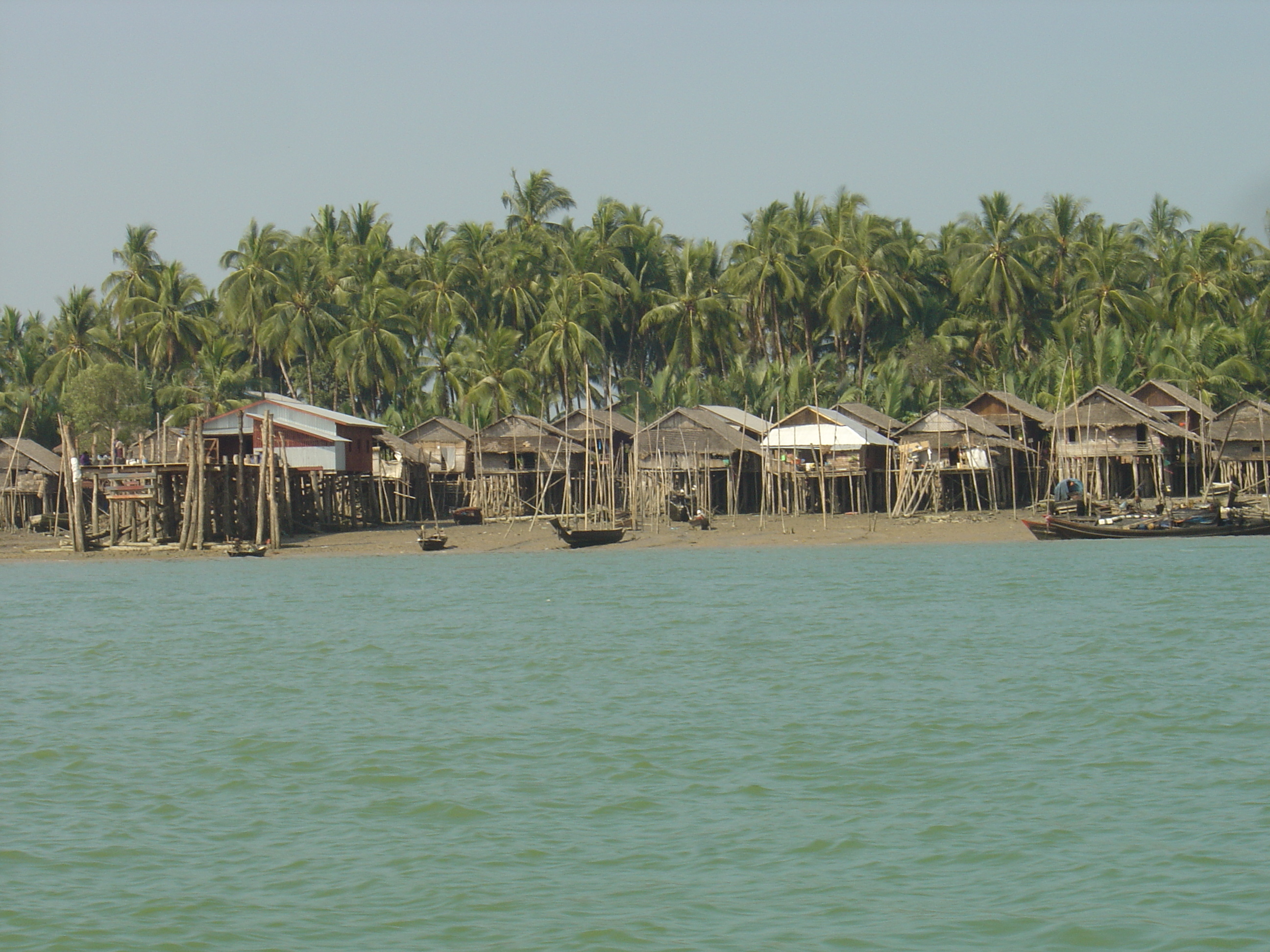 照片 缅甸(Myanmar) 丹老(Myeik (Mergui)) 2005-01 193