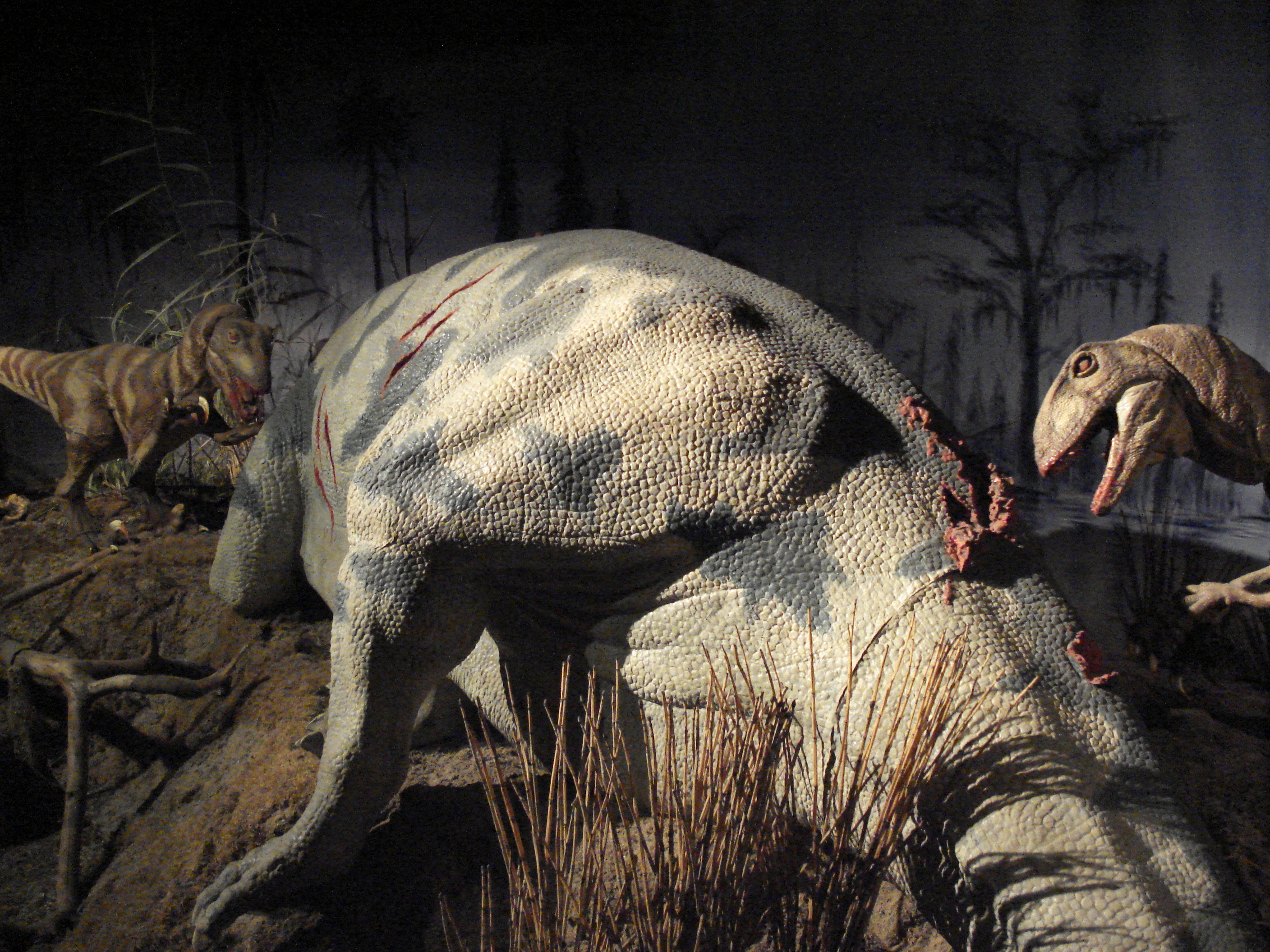 照片 法国(France) 巴黎(Paris) 发现宫(Palace of Discovery) 2006-04 14