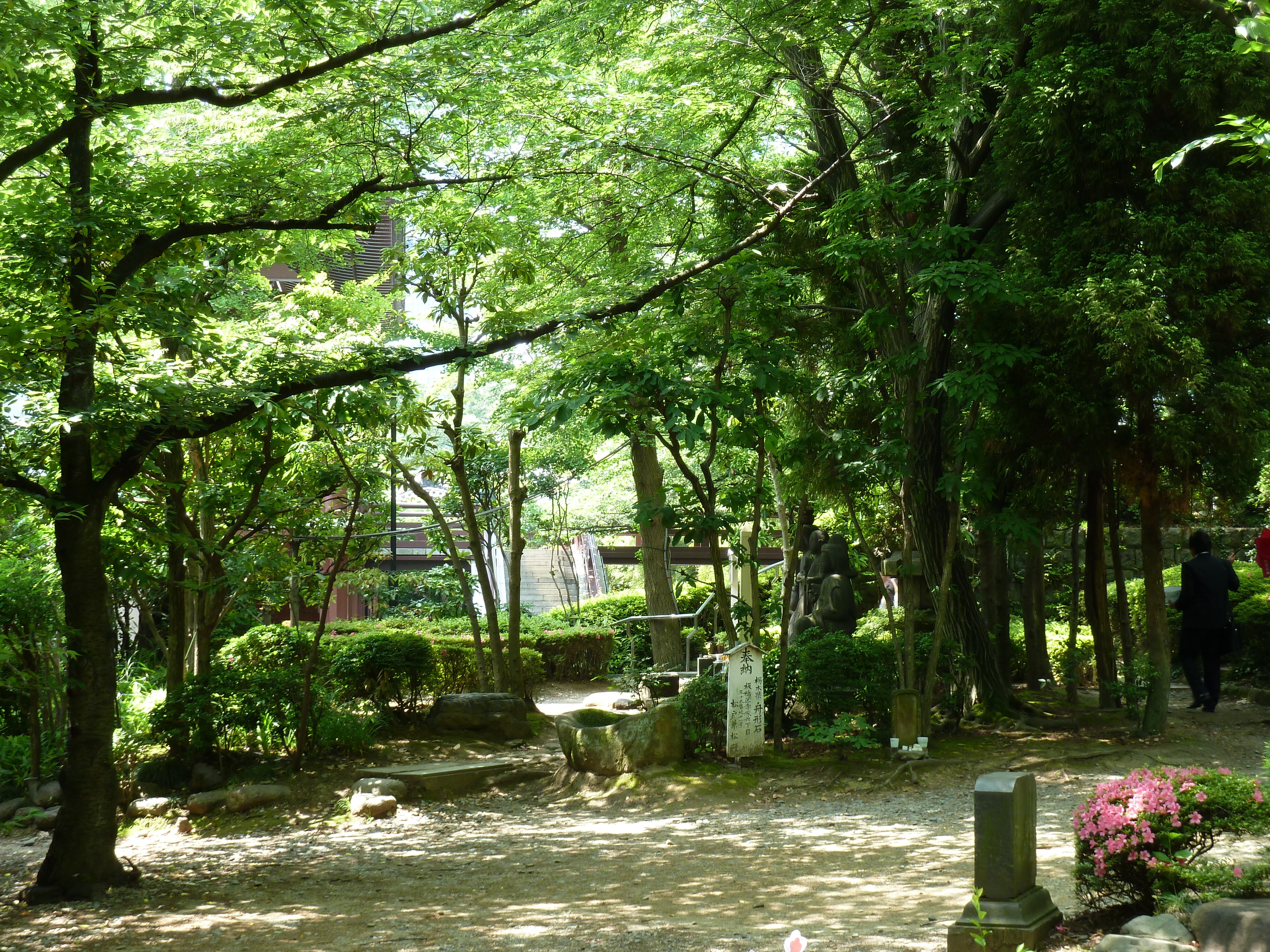 照片 日本(Japan) 东京(Tokyo) 芝公园(Shiba Park) 2010-06 11