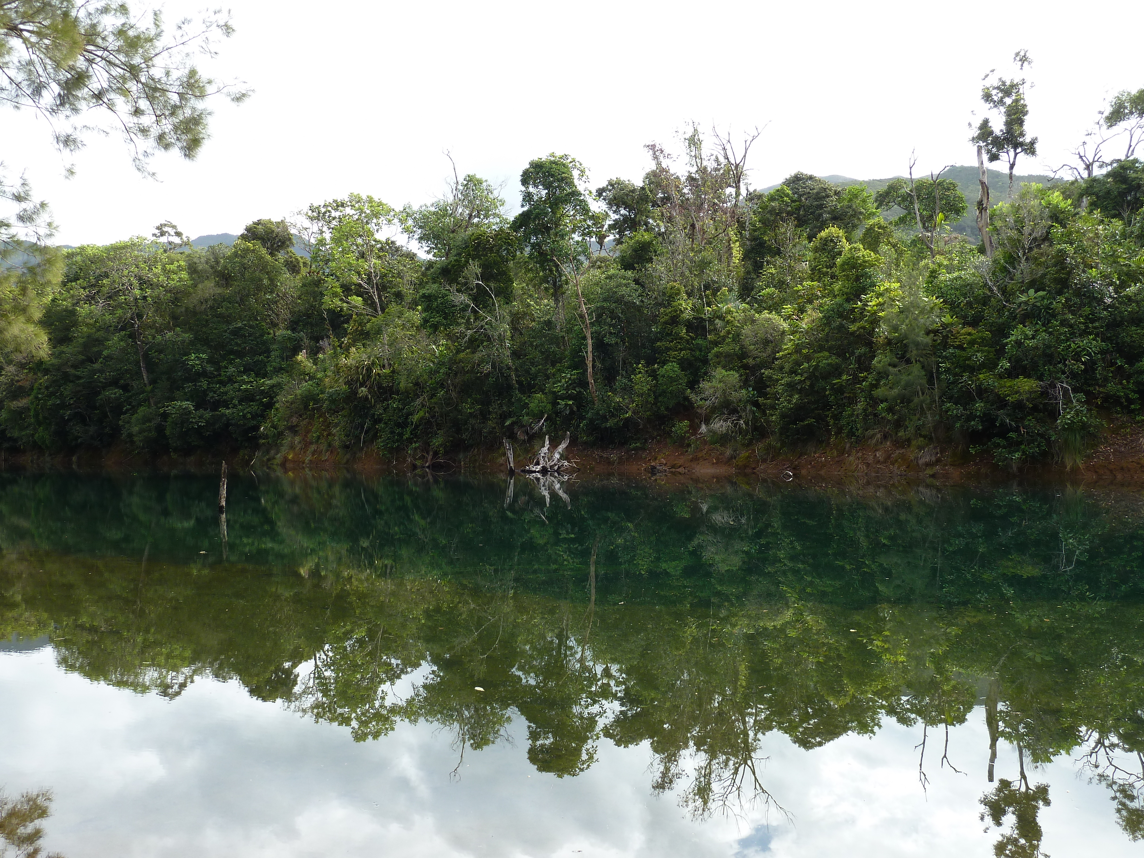 照片 新喀里多尼亚(New Caledonia) 蓝河公园(Parc de la Riviere Bleue) 2010-05 150