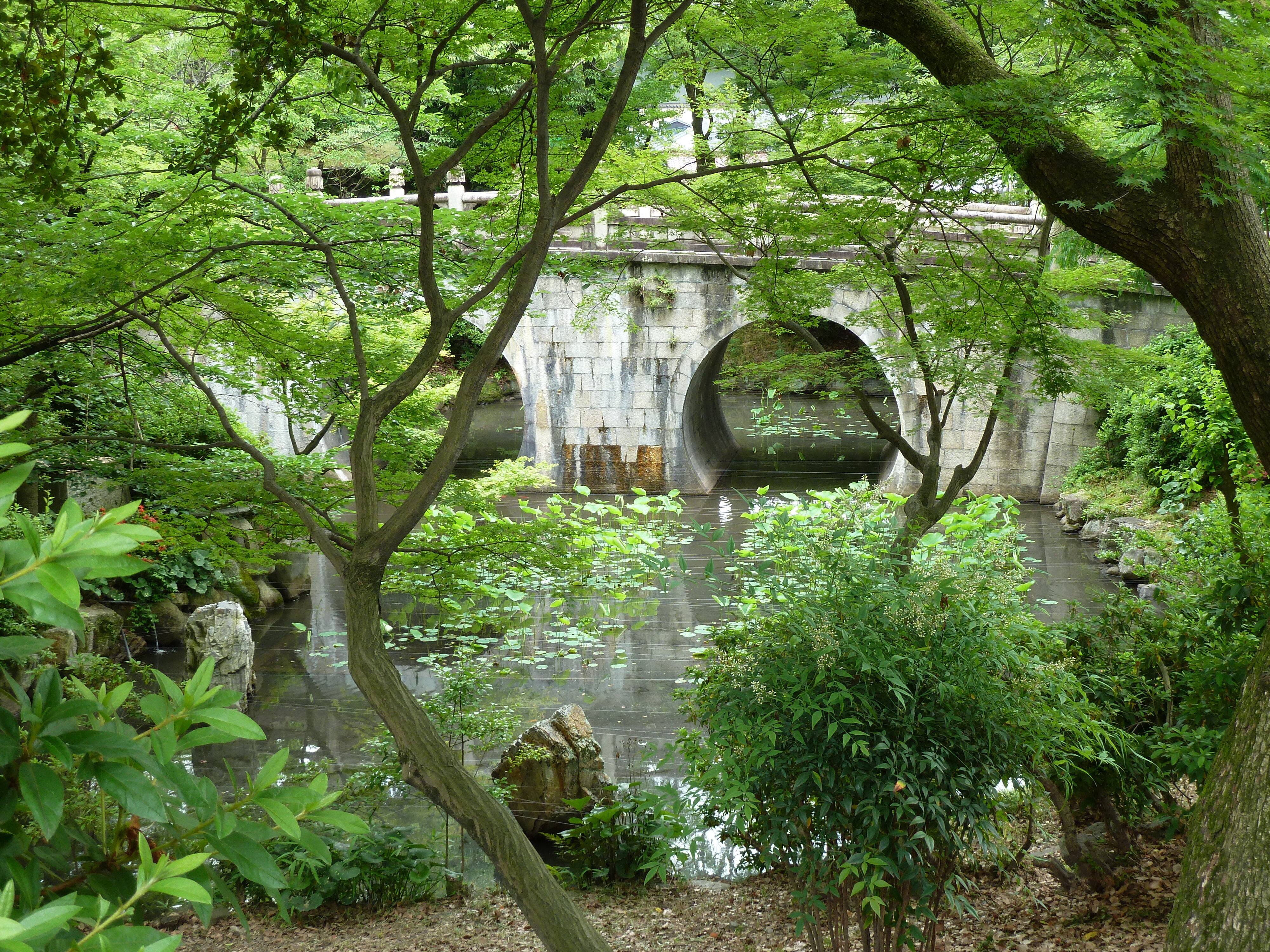 照片 日本(Japan) 京都(Kyoto) 2010-06 20