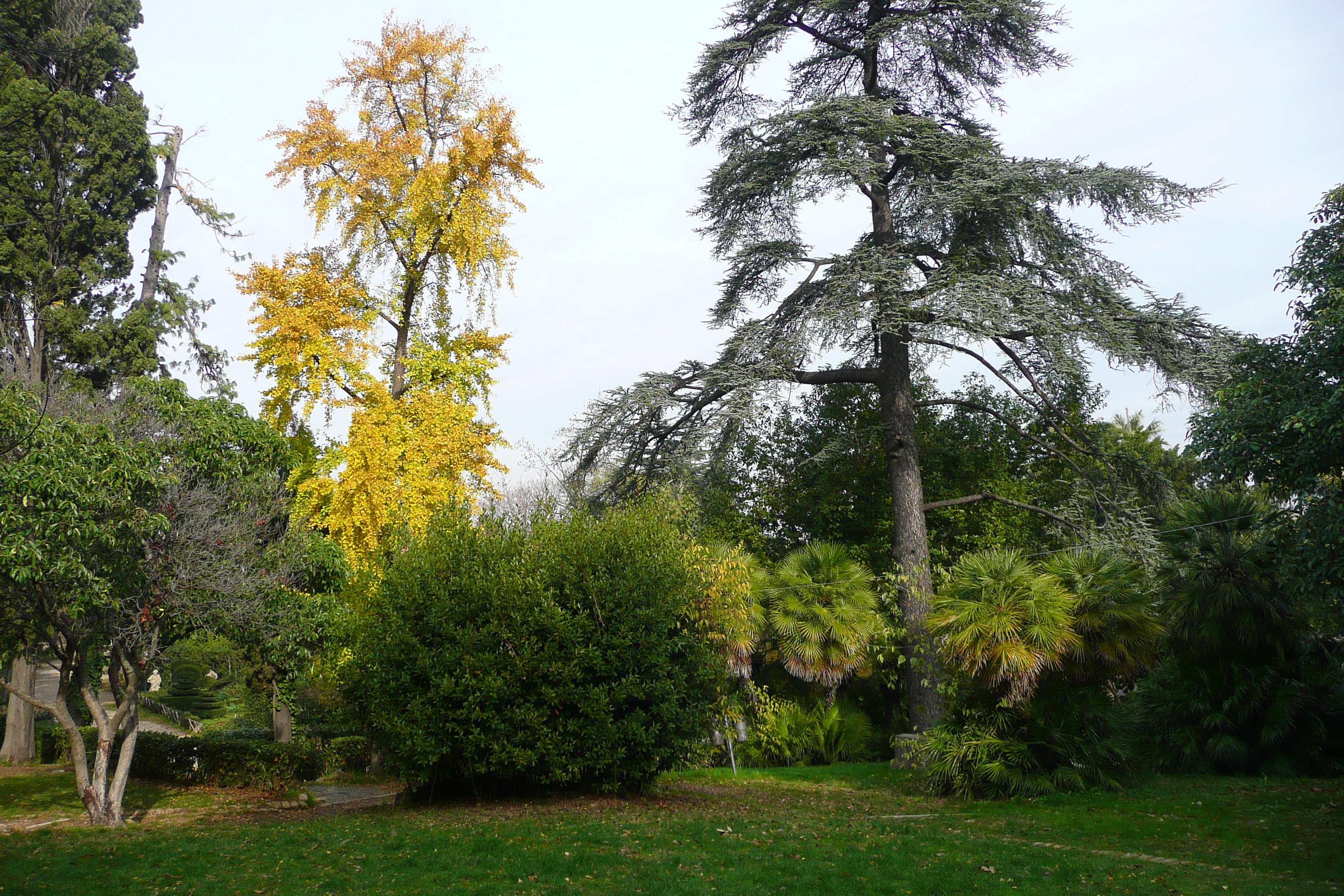 照片 意大利(Italy) 罗马(Rome) 夏拉别墅公园(Villa Sciarra) 2007-11 53