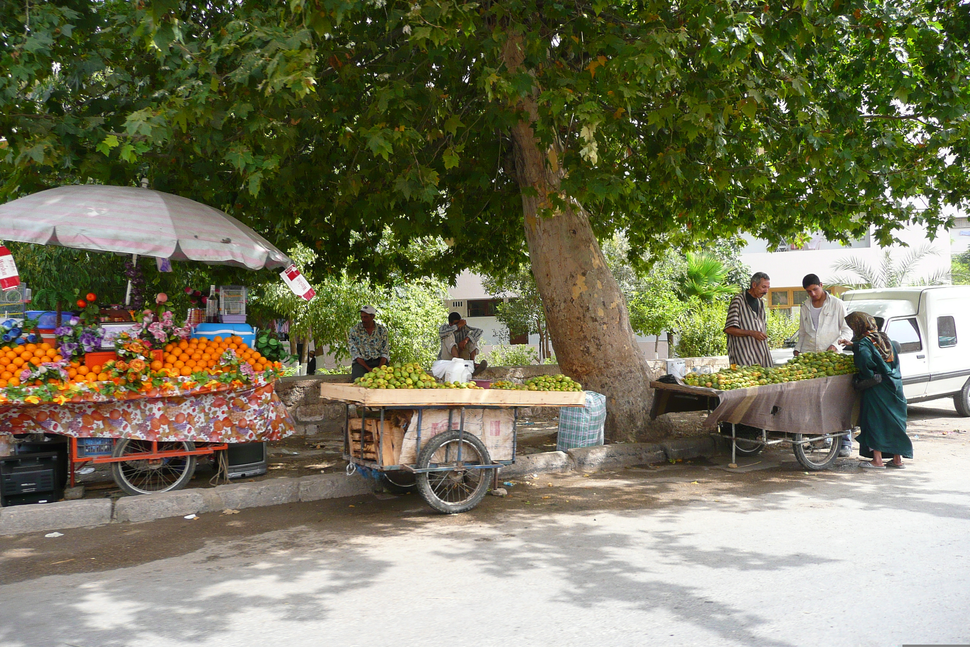 照片 摩洛哥(Morocco) 梅克内斯(Meknes) 2008-07 58