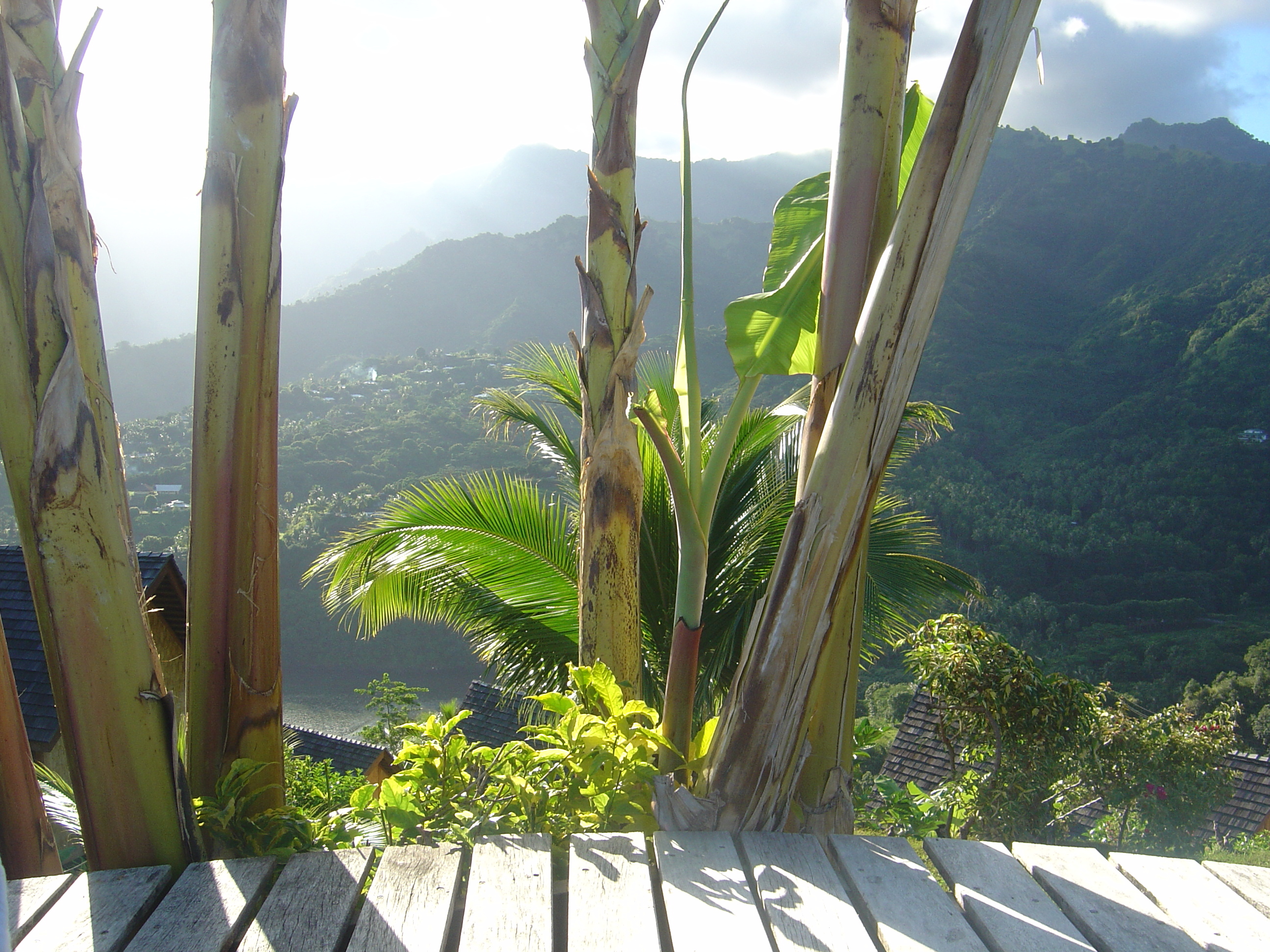 照片 波利尼西亚(Polynesia) 马克萨斯群岛(Marquises) 2006-04 42