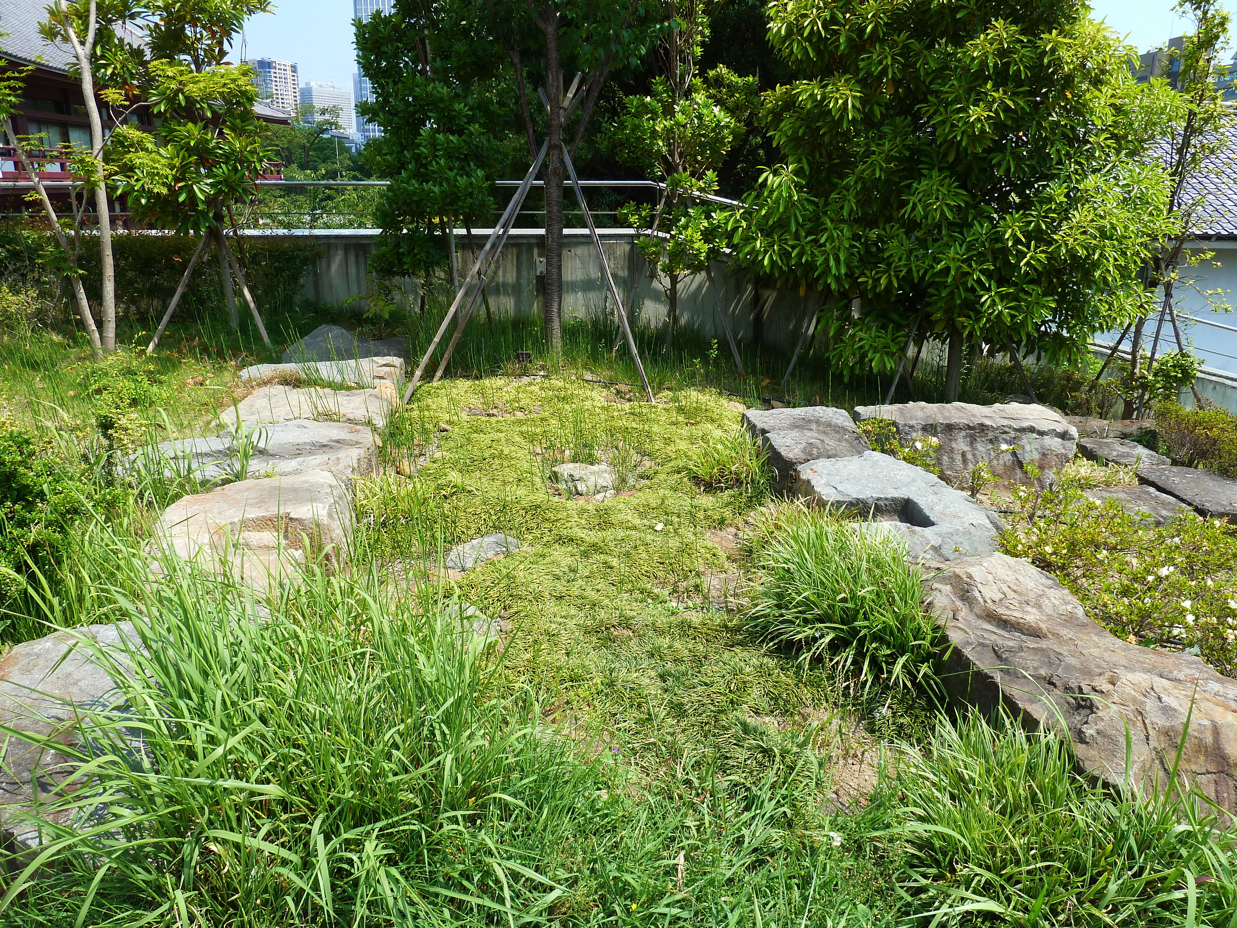 照片 日本(Japan) 东京(Tokyo) 芝公园(Shiba Park) 2010-06 3