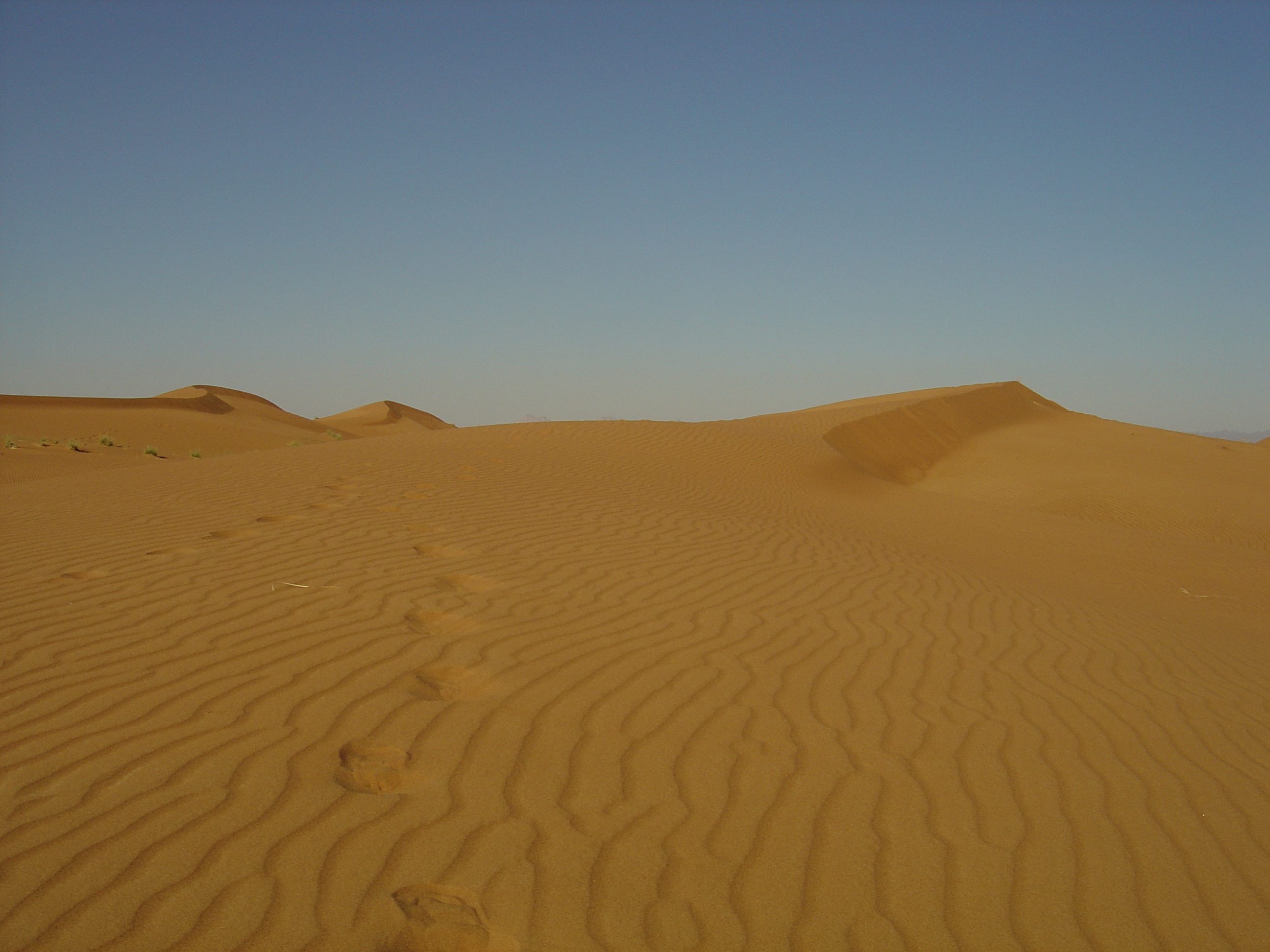 照片 阿联酋(United Arab Emirates) 迪拜至艾因公路(Dubai to Al Ain road) 2005-03 61