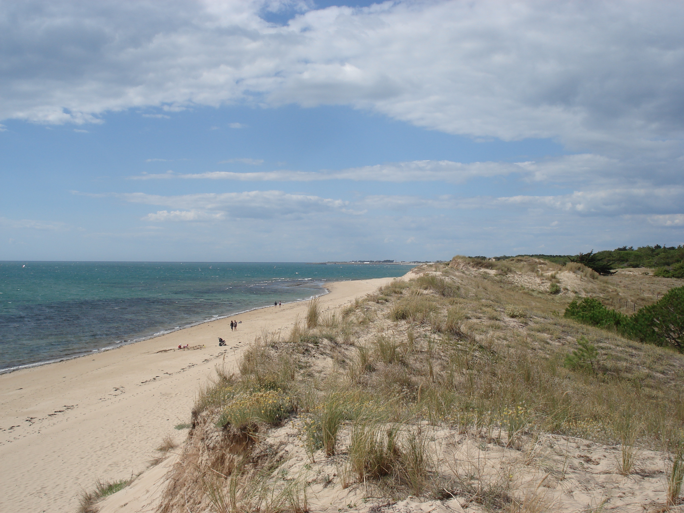 照片 法国(France) 努瓦尔穆捷(Noirmoutier) 2006-08 1