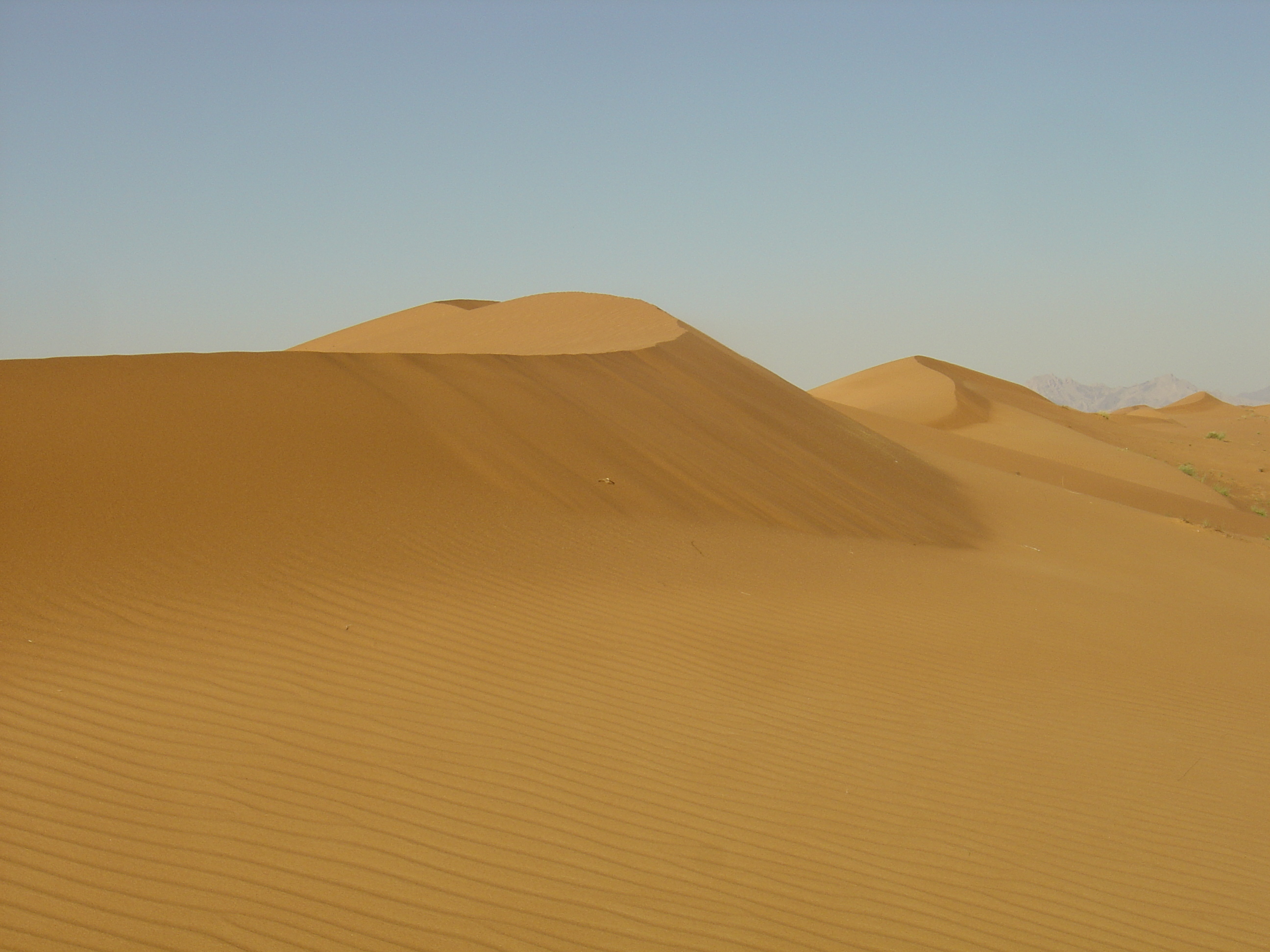 照片 阿联酋(United Arab Emirates) 迪拜至艾因公路(Dubai to Al Ain road) 2005-03 44