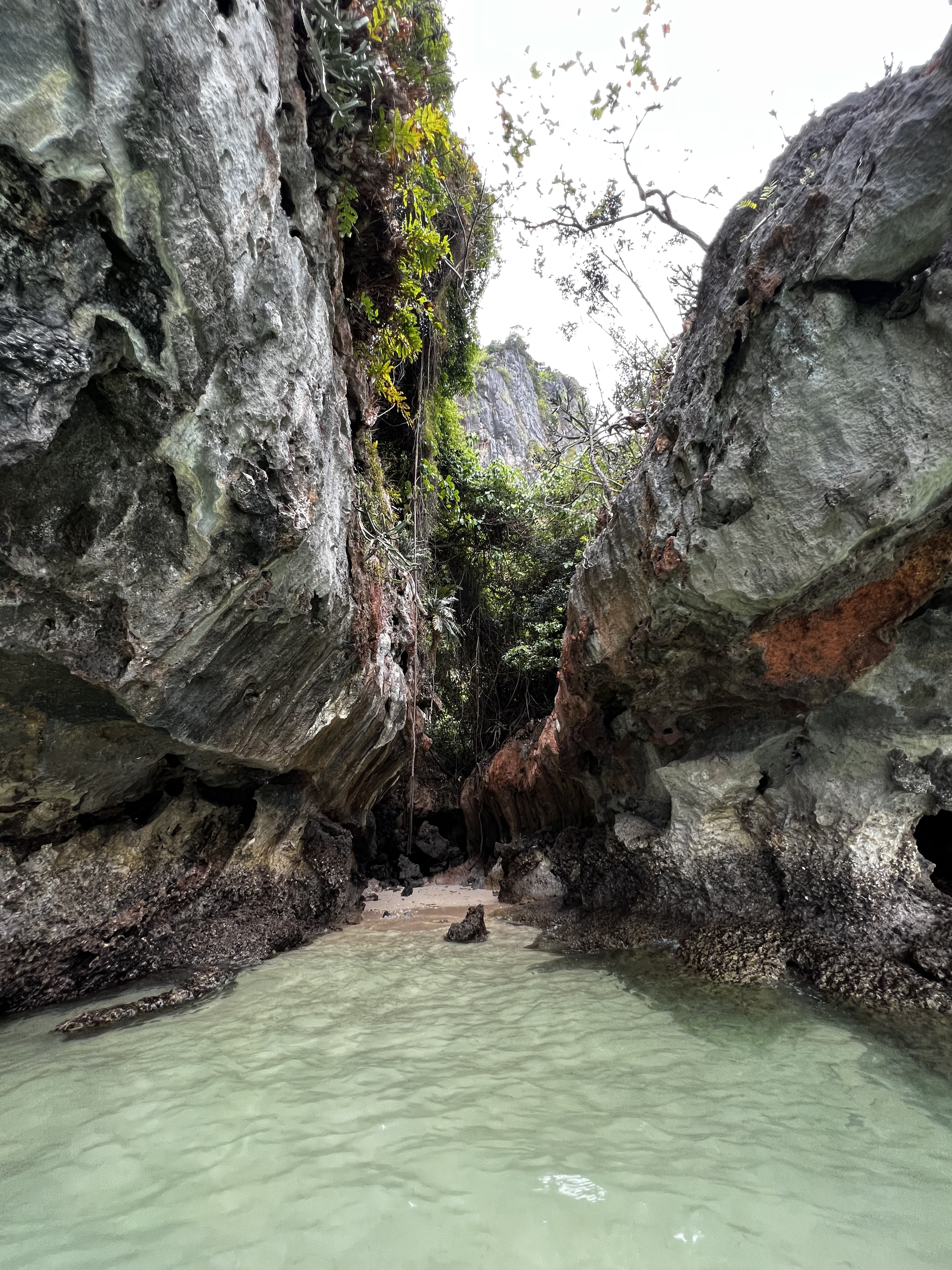 照片 泰国(Thailand) 甲米(Krabi) 2023-01 180