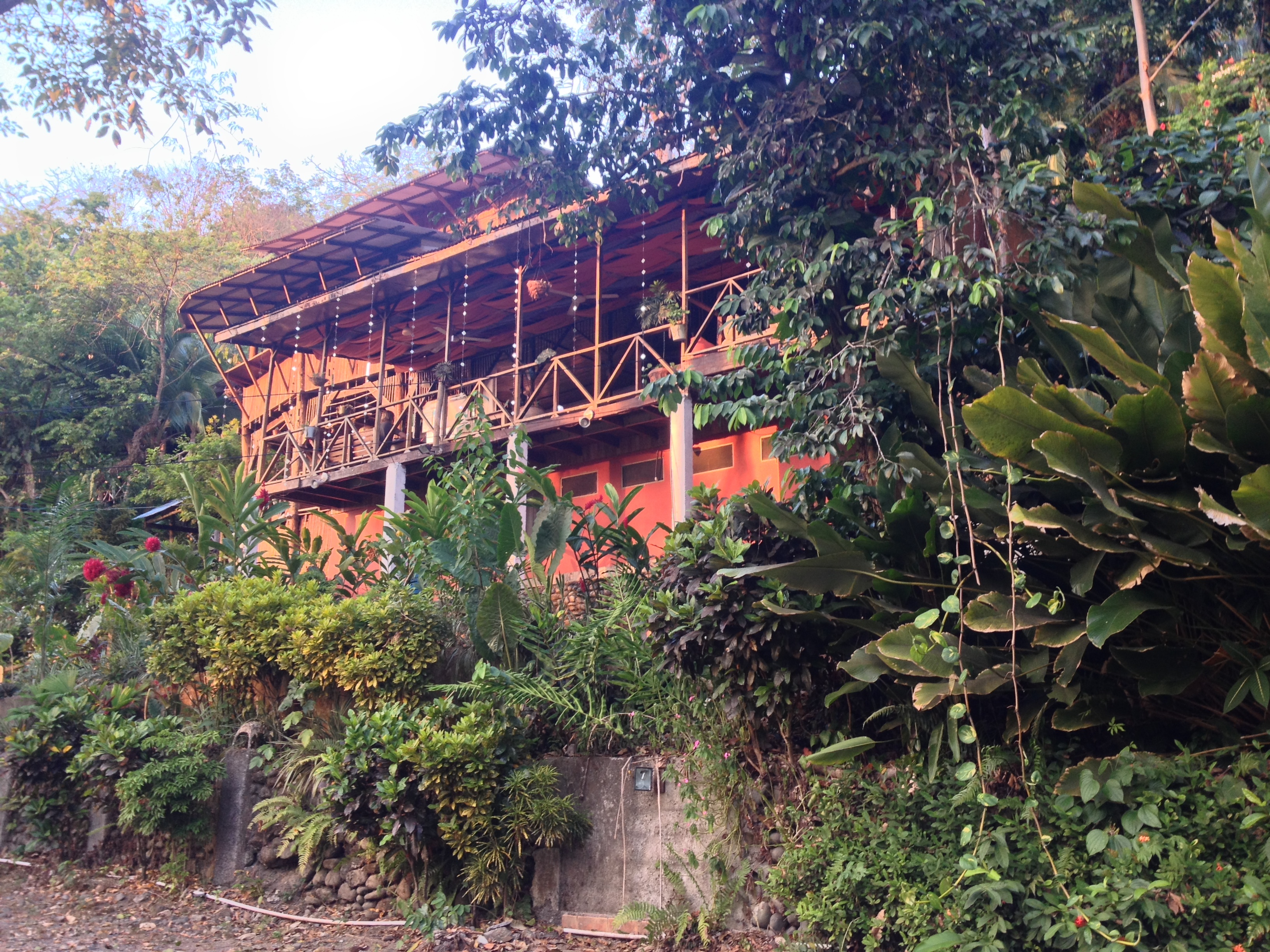 照片 哥斯达黎加(Costa Rica) 曼努埃尔安东尼奥(Manuel Antonio) 2015-03 444