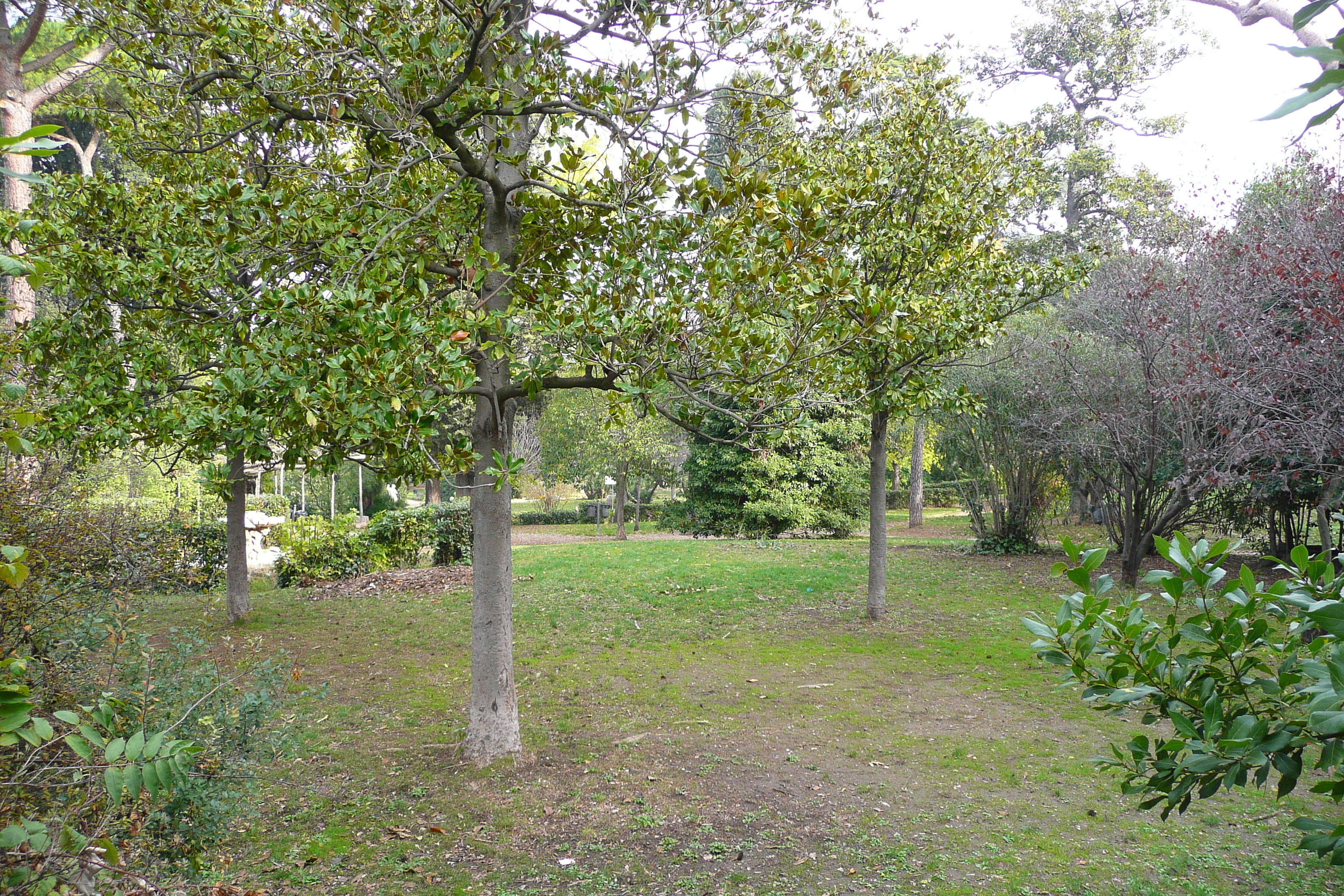 照片 意大利(Italy) 罗马(Rome) 夏拉别墅公园(Villa Sciarra) 2007-11 1