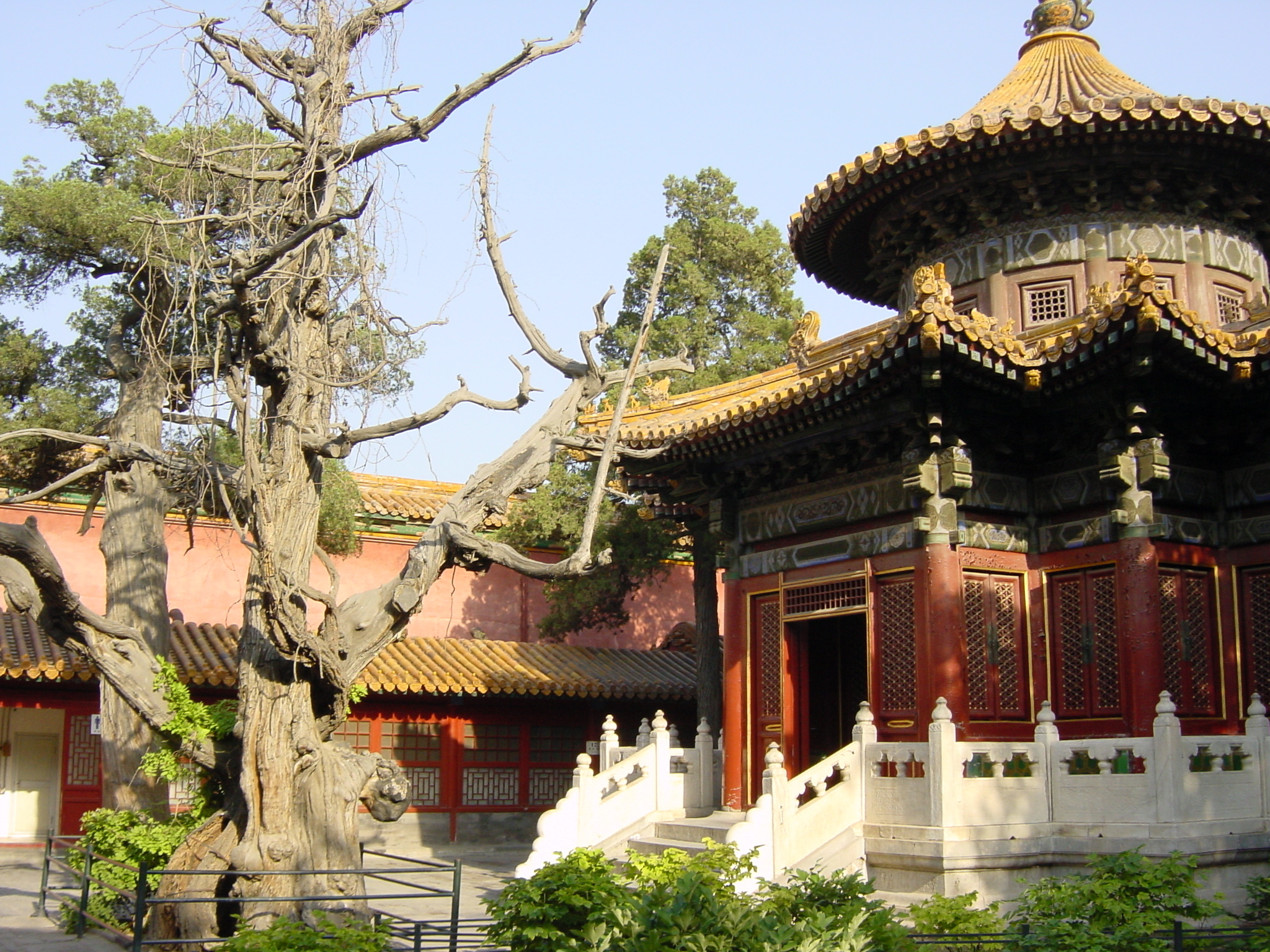 照片 中国(China) 北京(Beijing) 紫禁城(Forbidden City) 2002-05 52