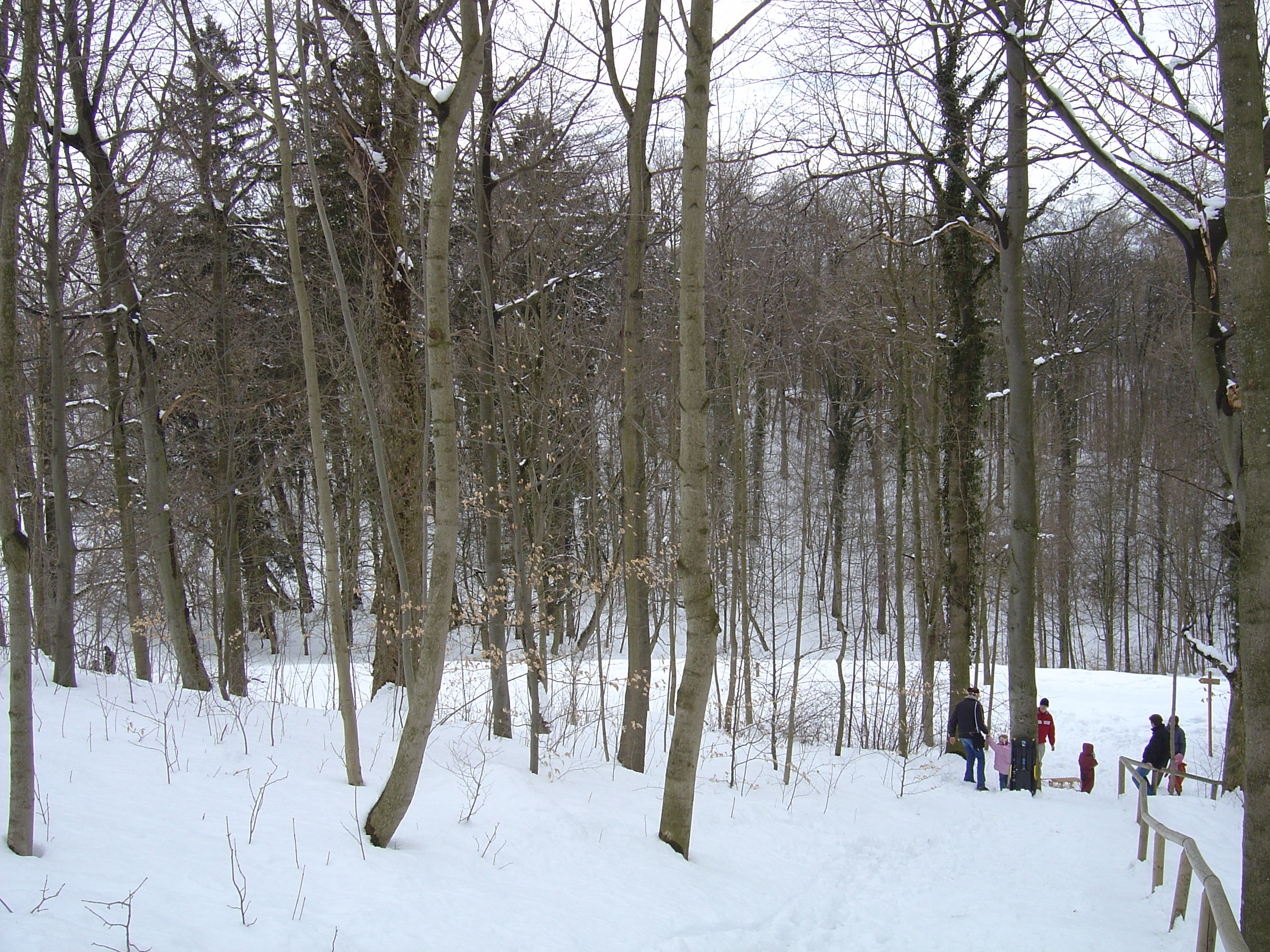 照片 德国(Germany) 兰茨胡特(Landshut) 2005-03 5