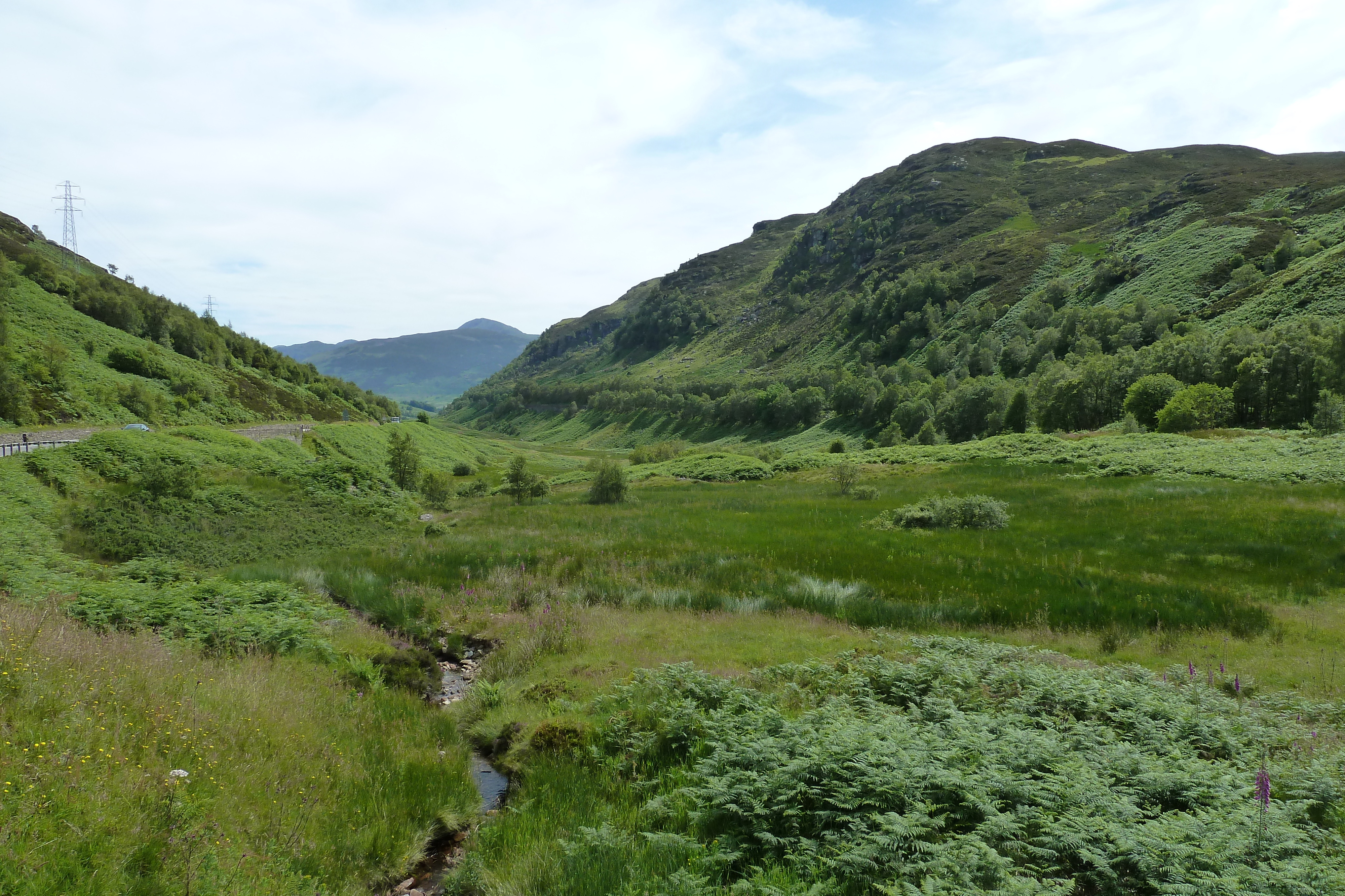照片 英国(United Kingdom) 特罗萨克斯(The Trossachs) 2011-07 78