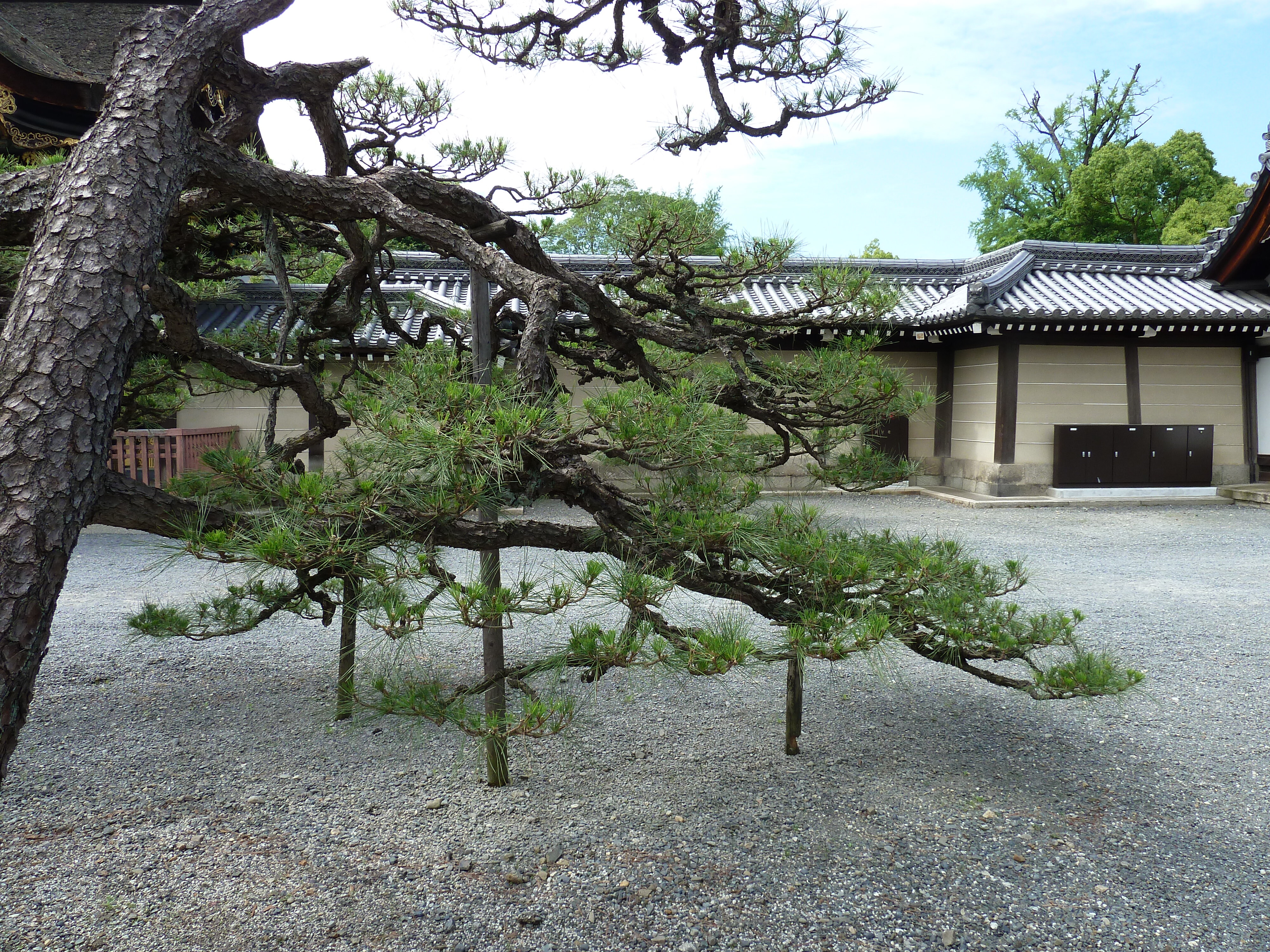 照片 日本(Japan) 京都(Kyoto) 西本愿寺(Nishi Honganji Temple) 2010-06 3