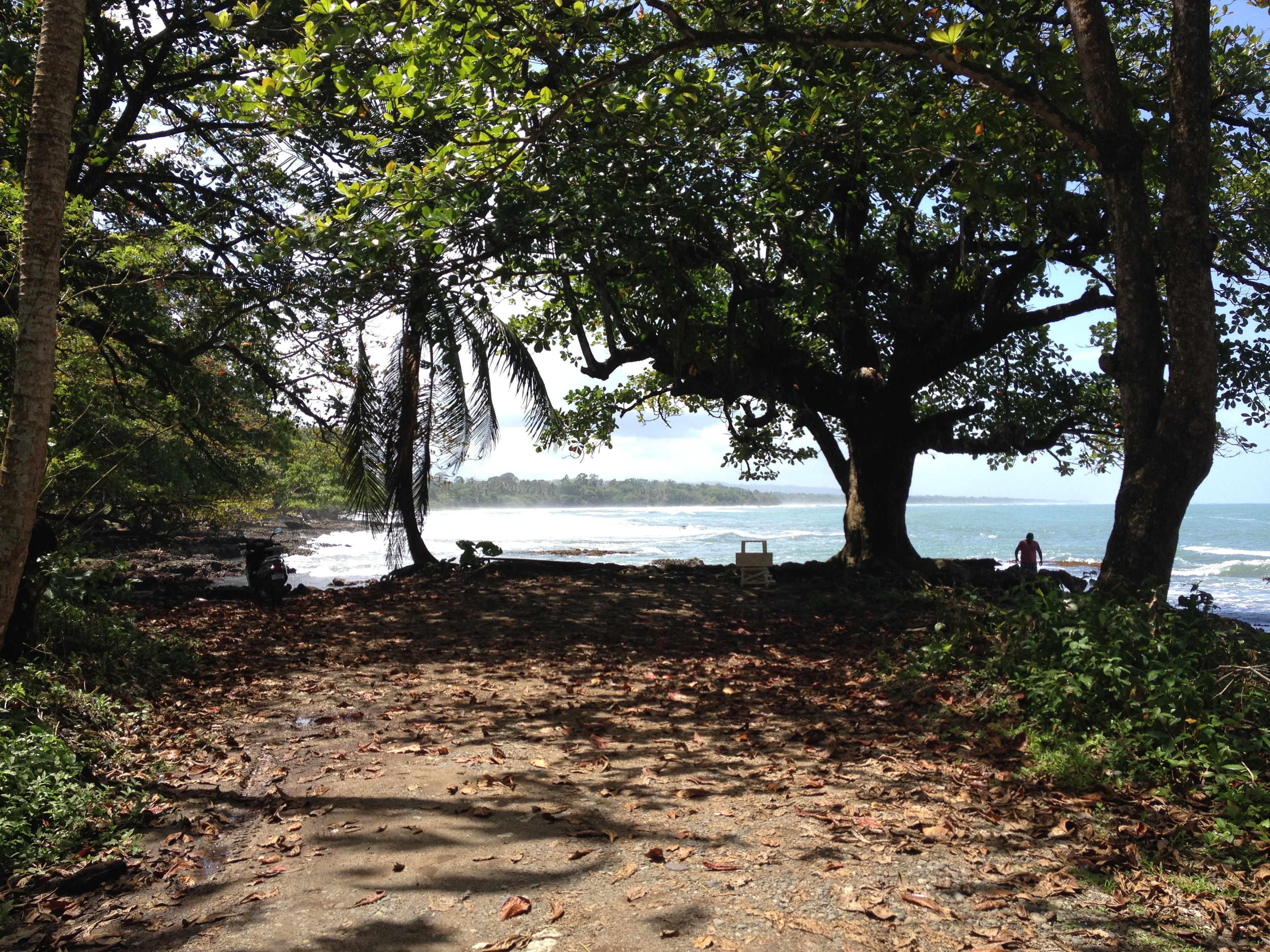 照片 哥斯达黎加(Costa Rica) 卡维塔(Cahuita) 2015-03 14