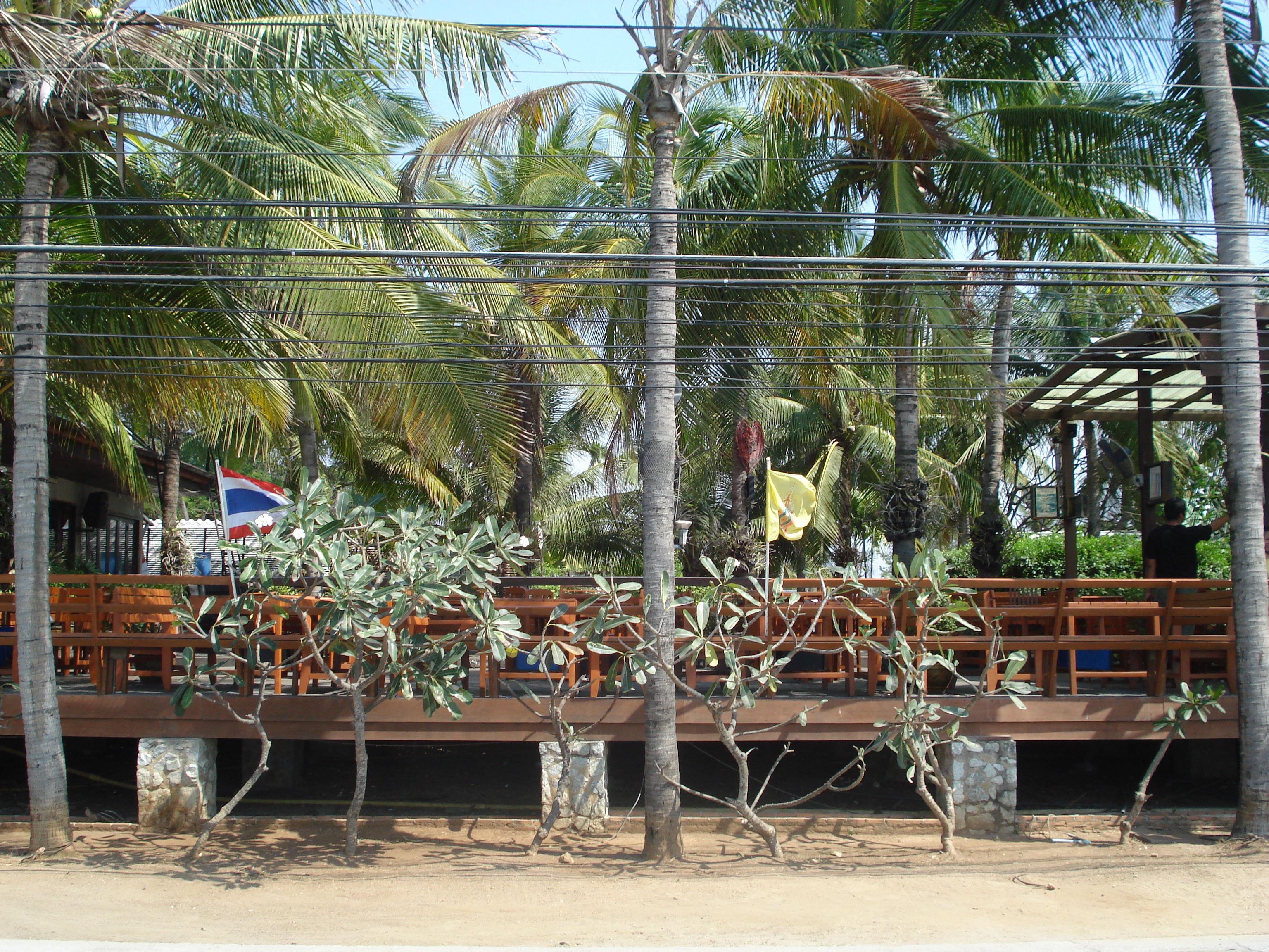 照片 泰国(Thailand) 宗甸(Jomtien) 宗甸海滨(Jomtien Seashore) 2008-01 23