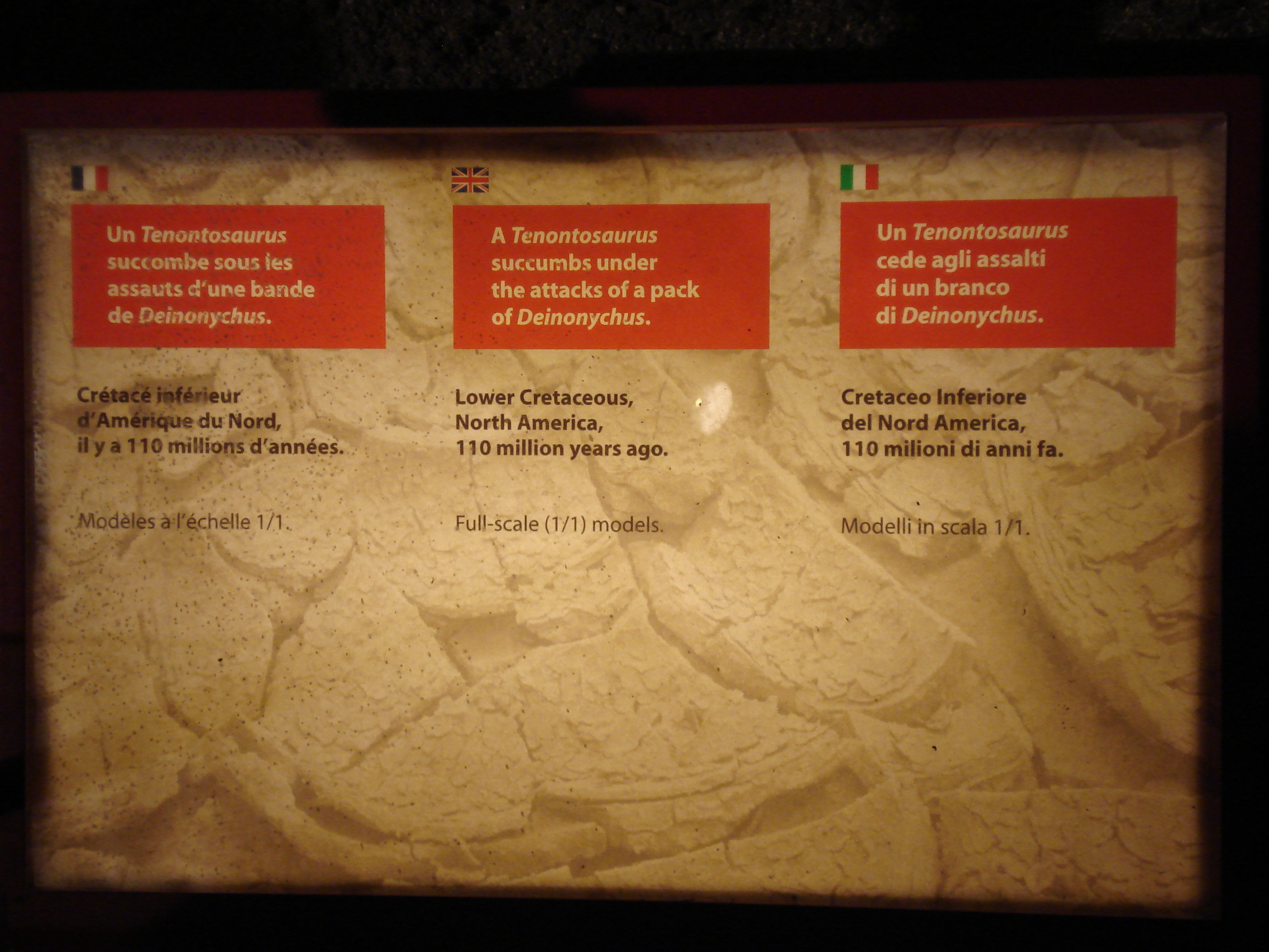 照片 法国(France) 巴黎(Paris) 发现宫(Palace of Discovery) 2006-04 44