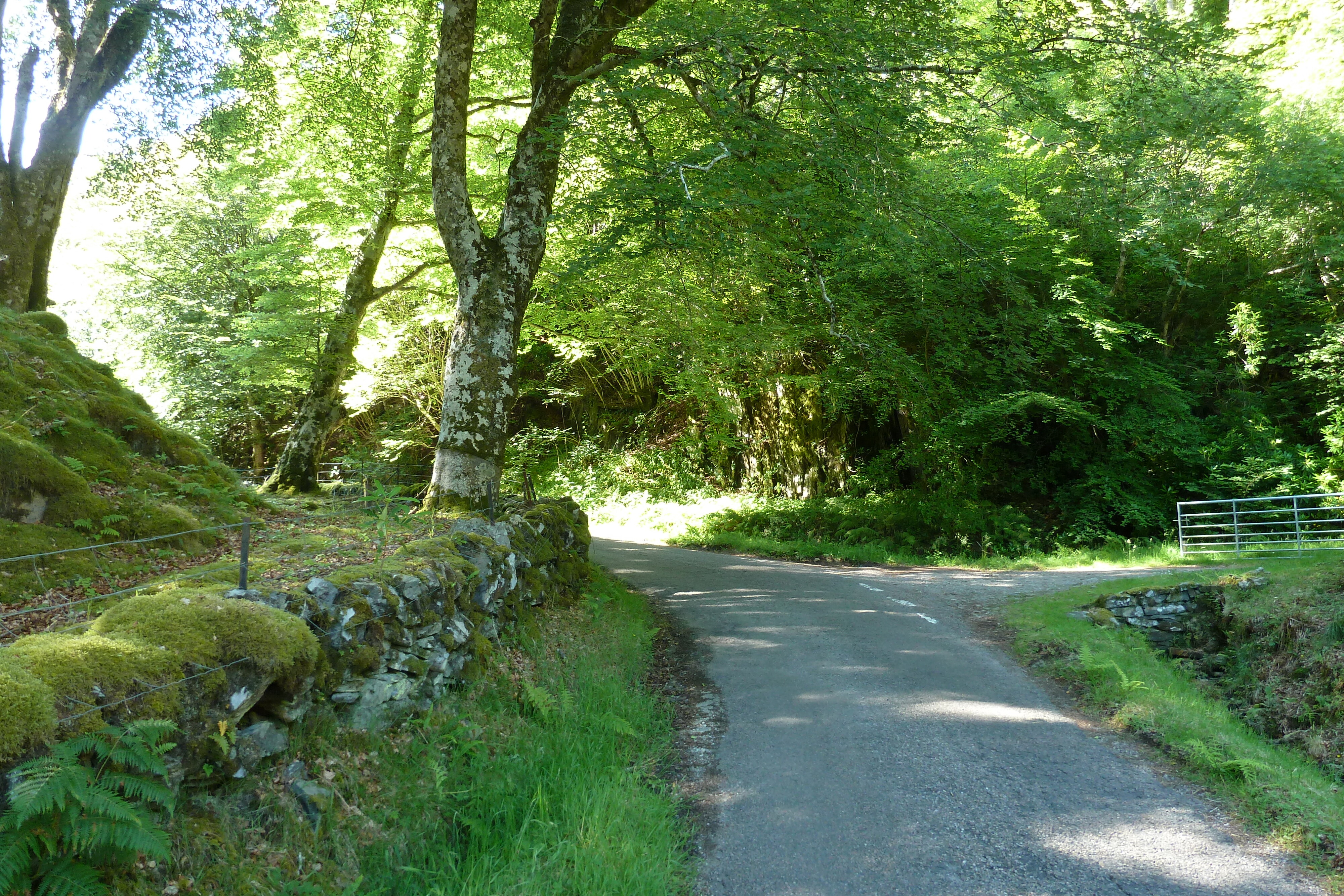 照片 英国(United Kingdom) 苏格兰(Scotland) 萨伦(Salen) 2011-07 70