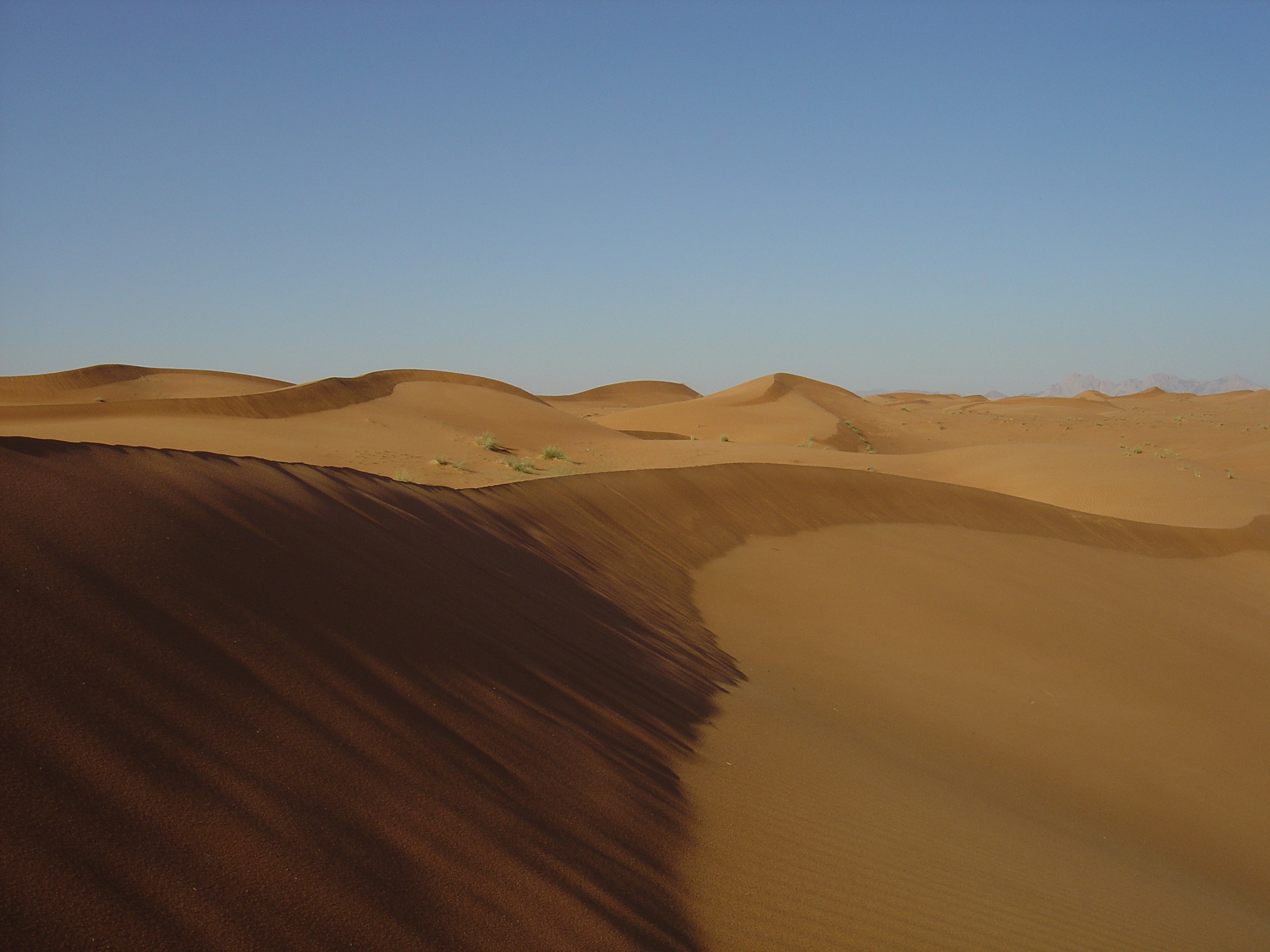照片 阿联酋(United Arab Emirates) 迪拜至艾因公路(Dubai to Al Ain road) 2005-03 73