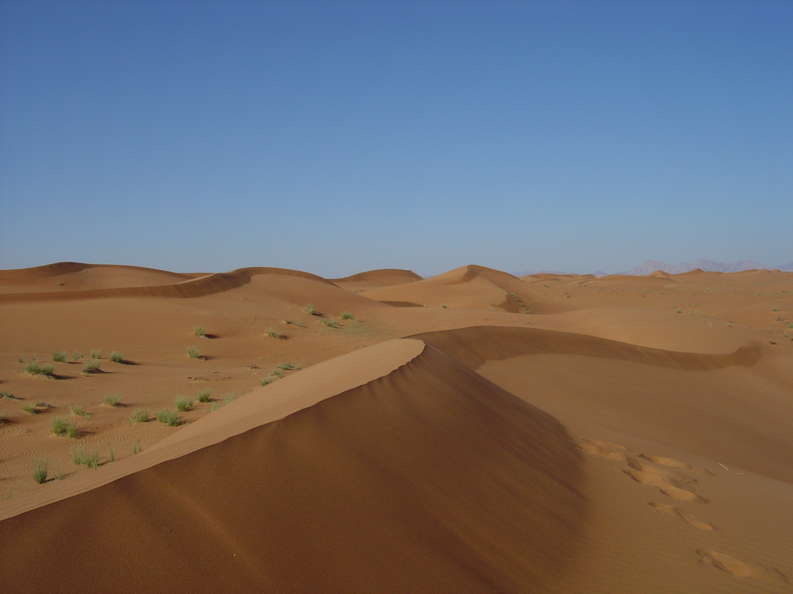 照片 阿联酋(United Arab Emirates) 迪拜至艾因公路(Dubai to Al Ain road) 2005-03 68