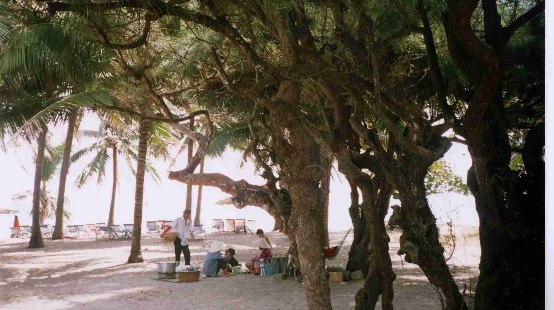 照片 越南(Vietnam) 芽庄(Nha Trang) 1995-12 32