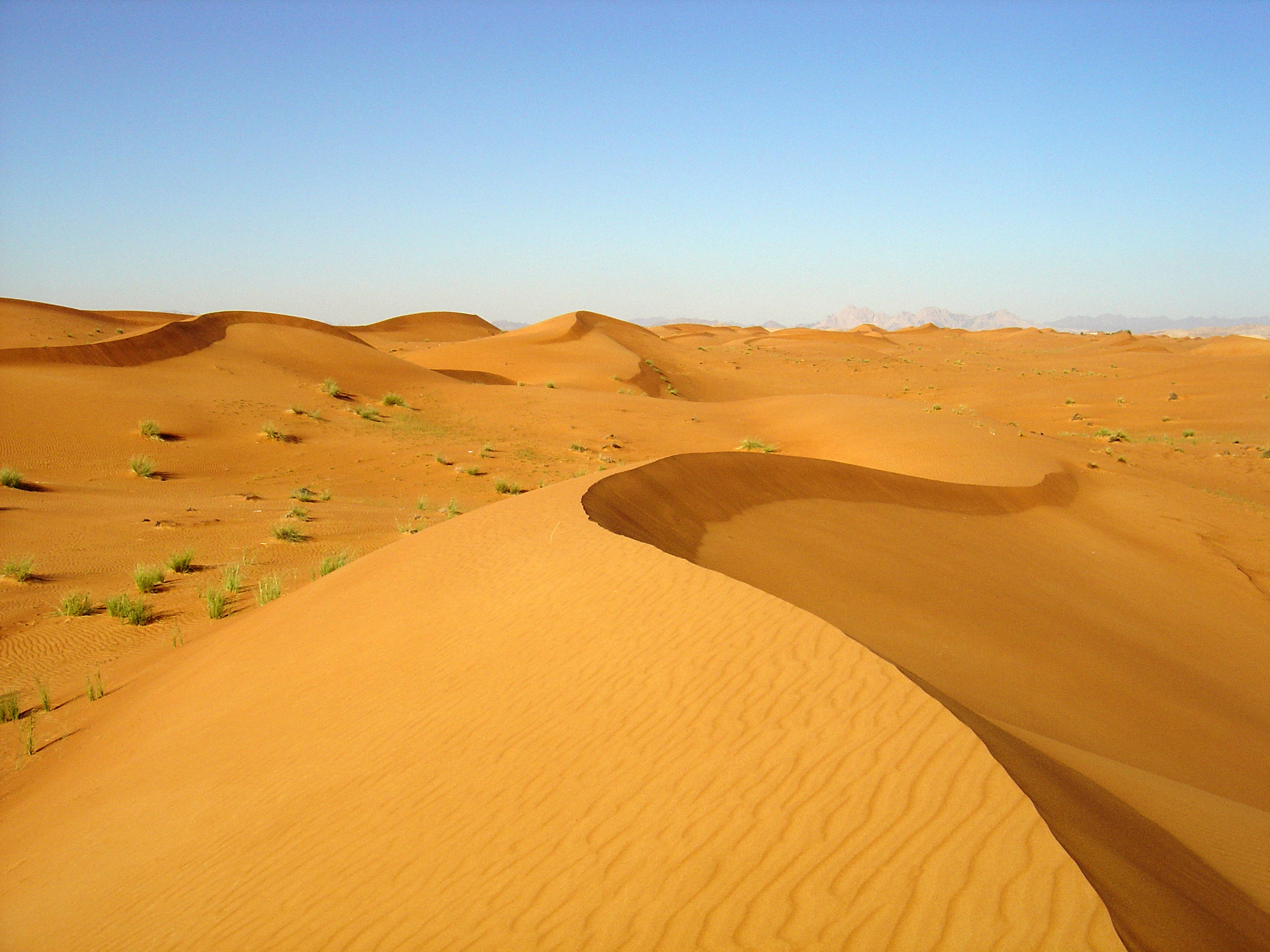 照片 阿联酋(United Arab Emirates) 迪拜至艾因公路(Dubai to Al Ain road) 2005-03 4
