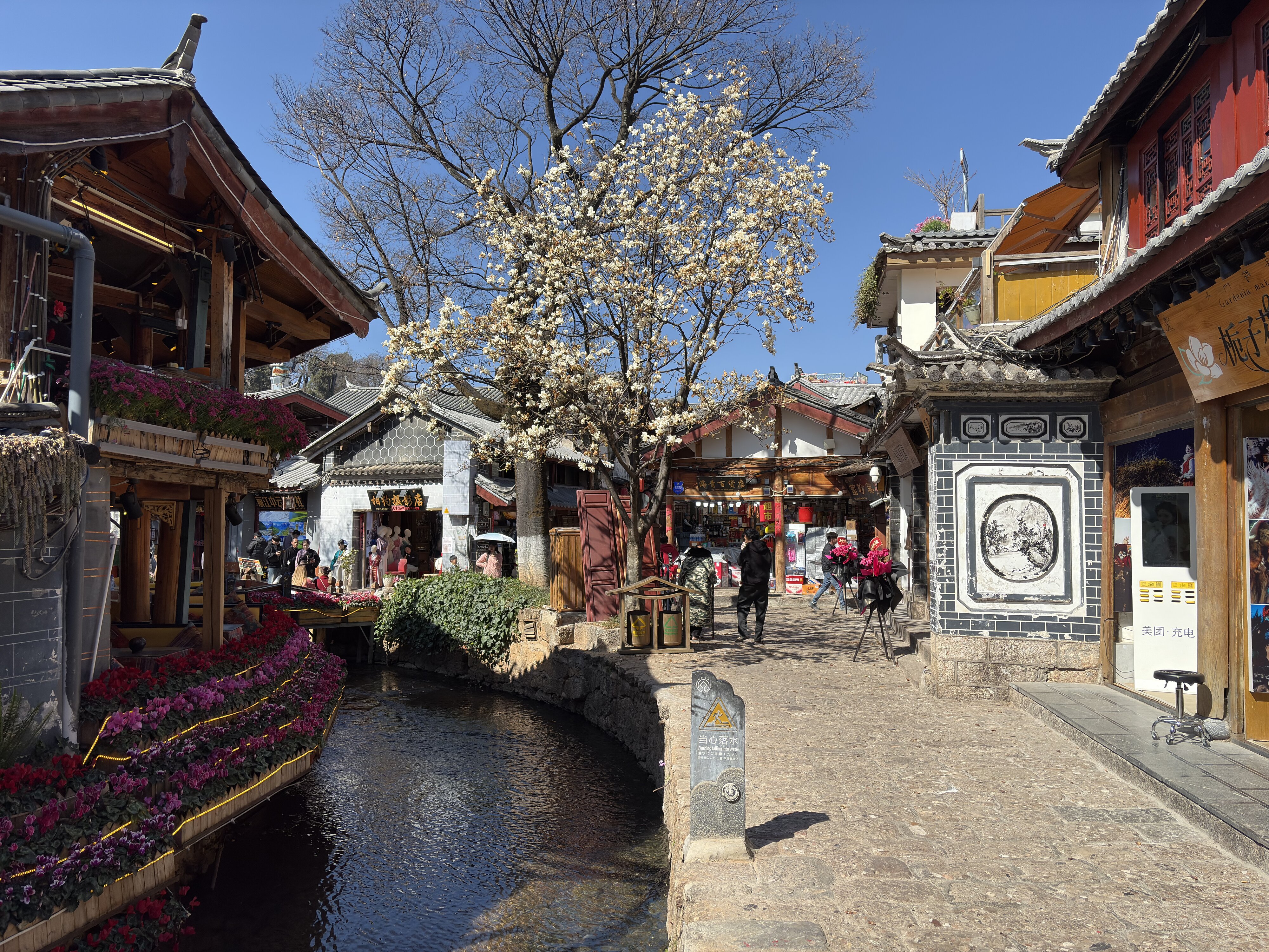 照片 中国(China) 丽江(Lijiang) 2026-01 279