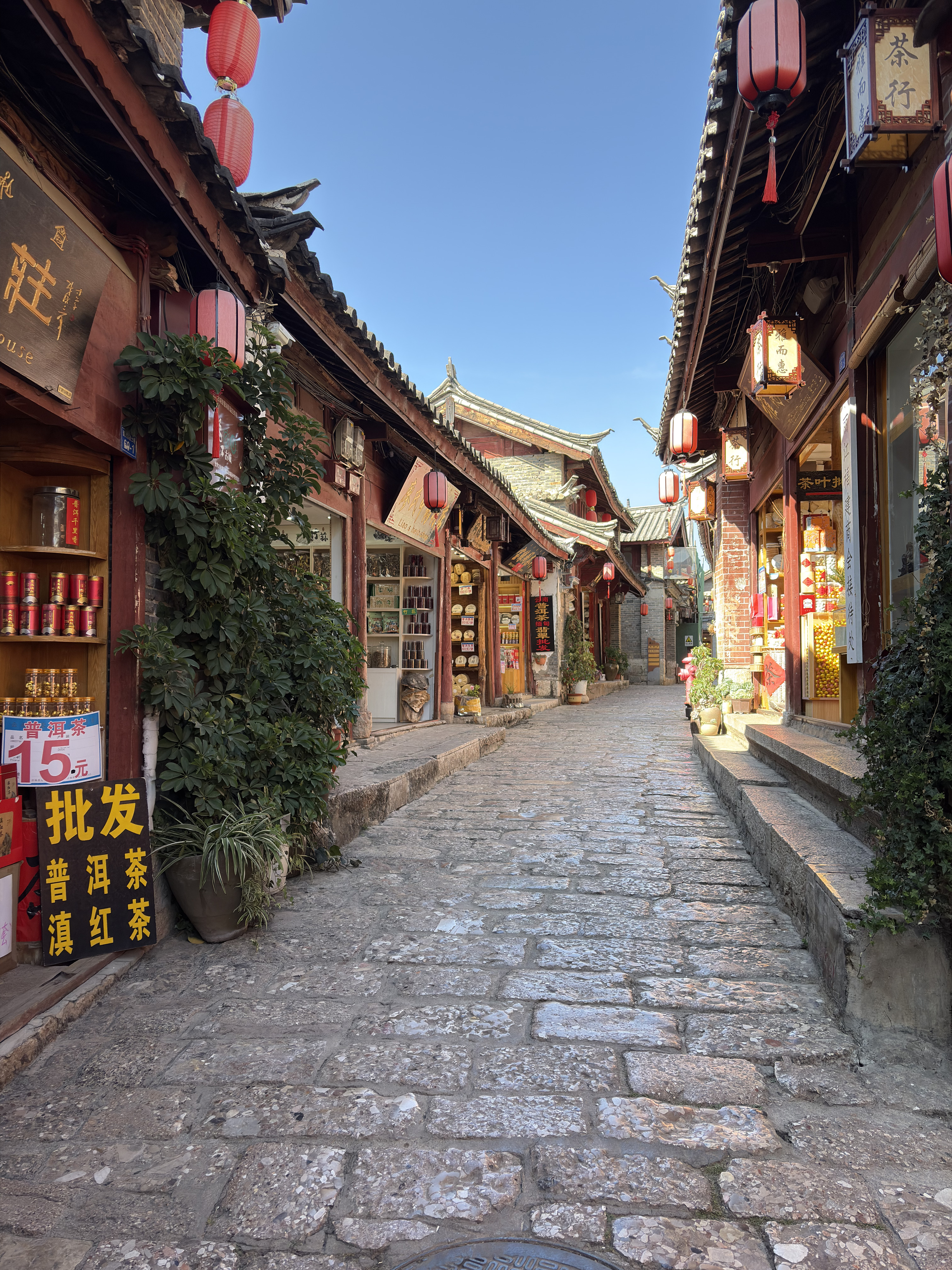 照片 中国(China) 丽江(Lijiang) 2026-01 816