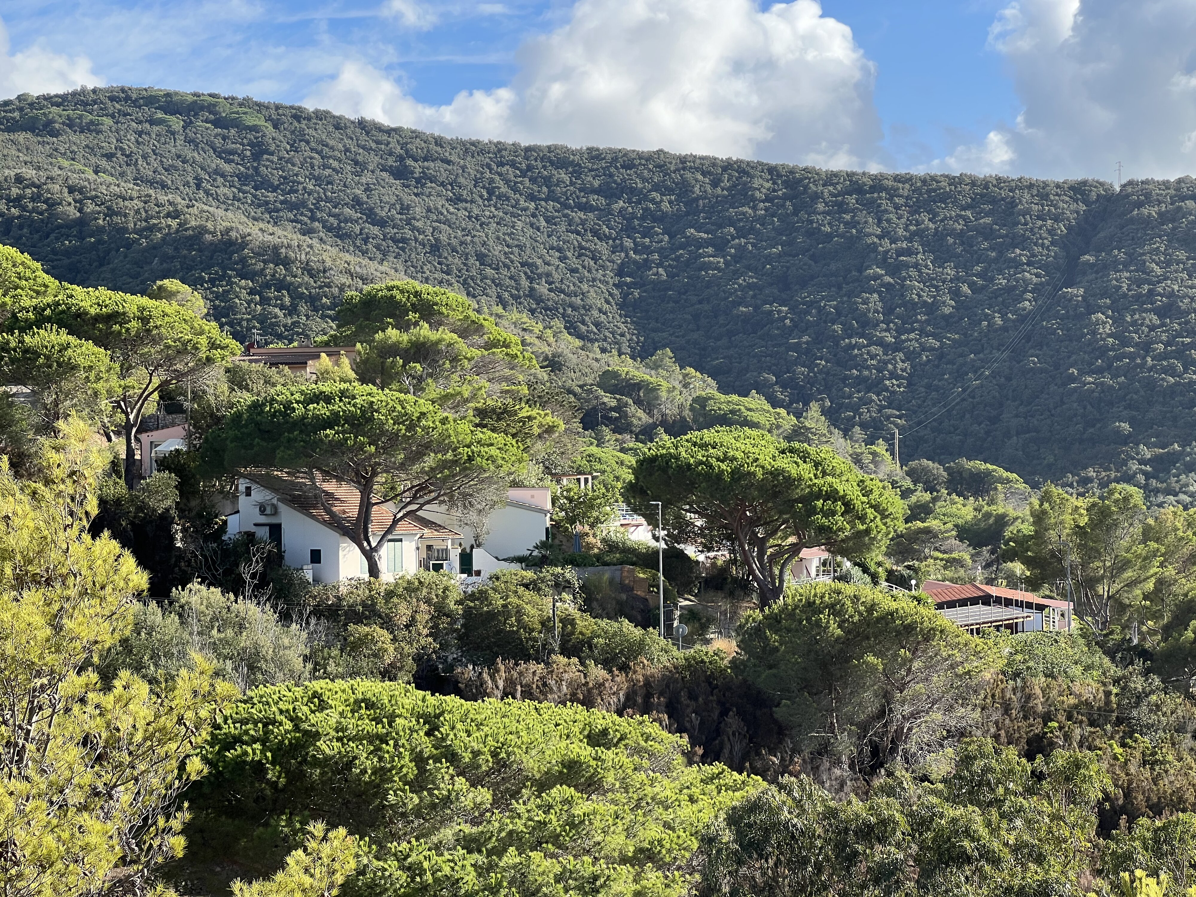 照片 意大利(Italy) 厄尔巴岛(Isola d'Elba) 2021-09 85