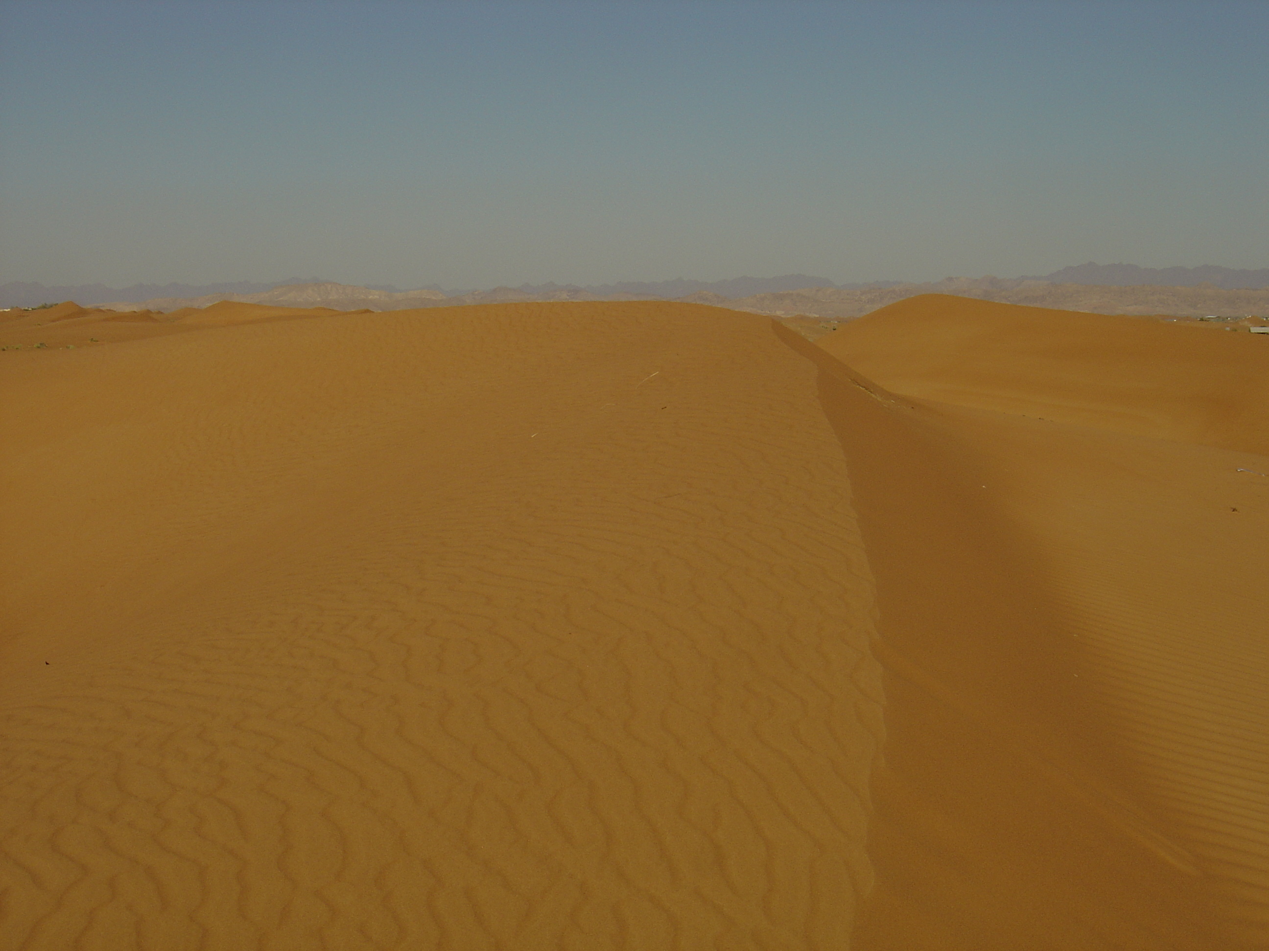 照片 阿联酋(United Arab Emirates) 迪拜至艾因公路(Dubai to Al Ain road) 2005-03 70