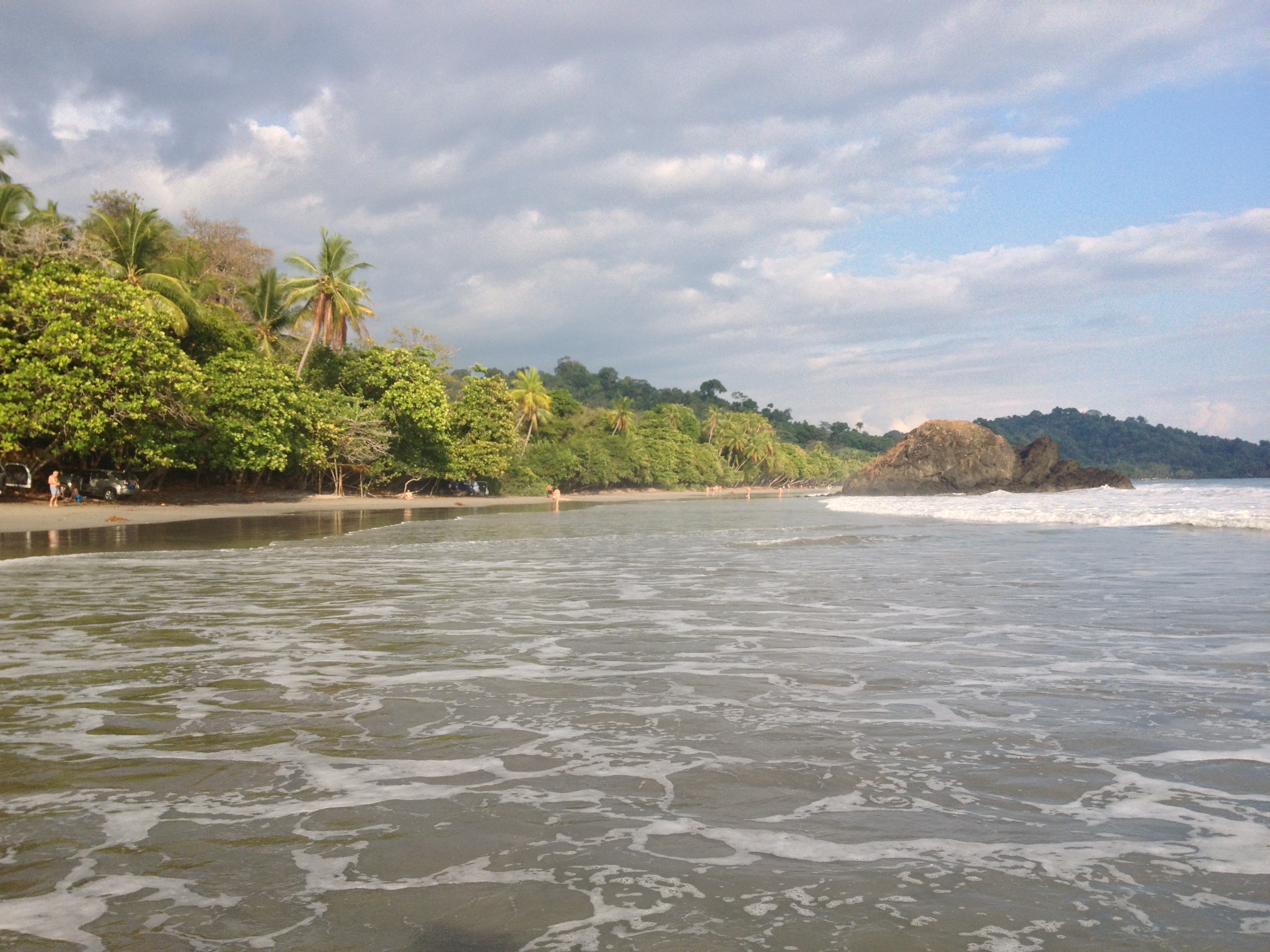 照片 哥斯达黎加(Costa Rica) 曼努埃尔安东尼奥(Manuel Antonio) 2015-03 505