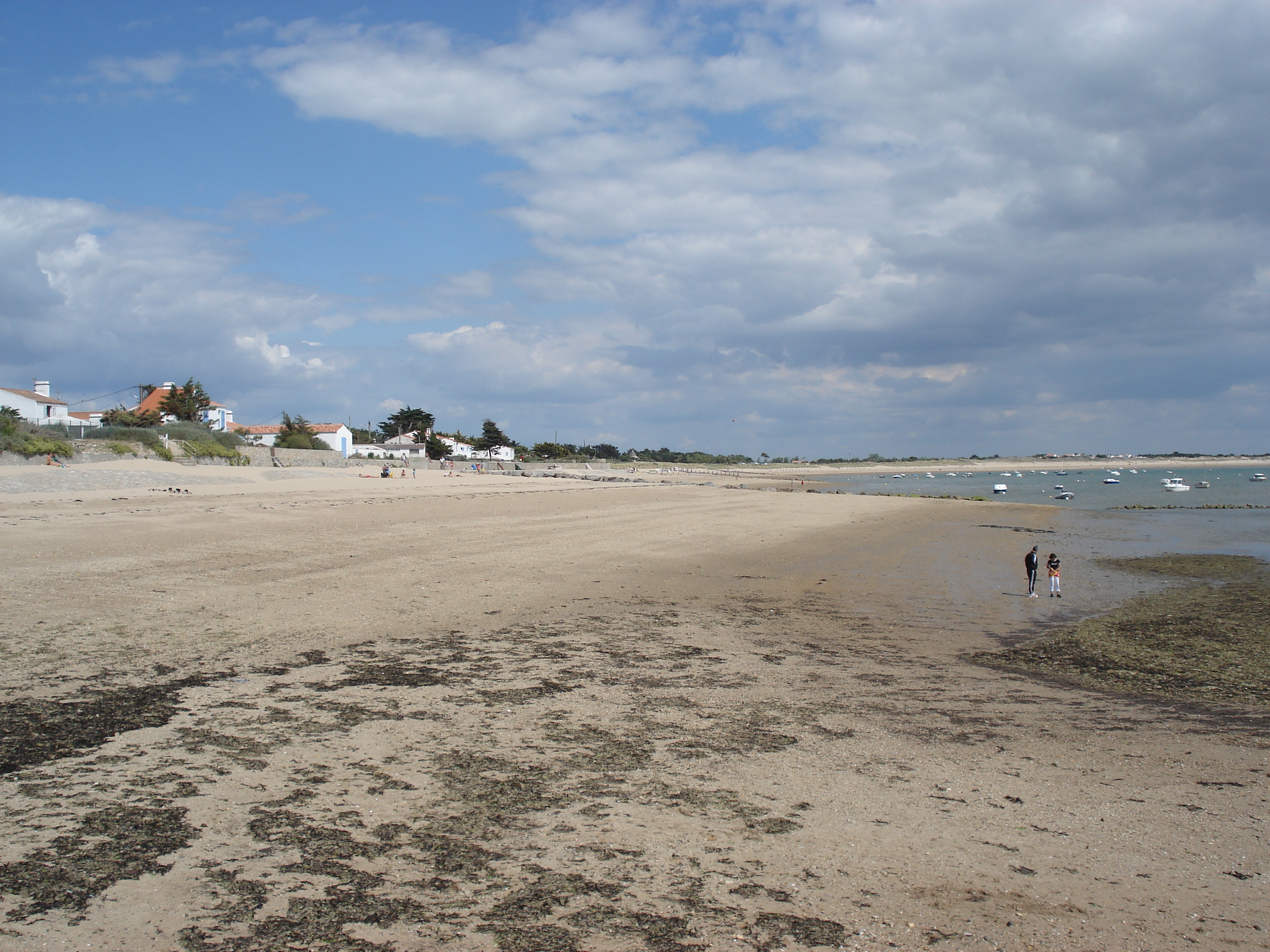 照片 法国(France) 努瓦尔穆捷(Noirmoutier) 2006-08 77