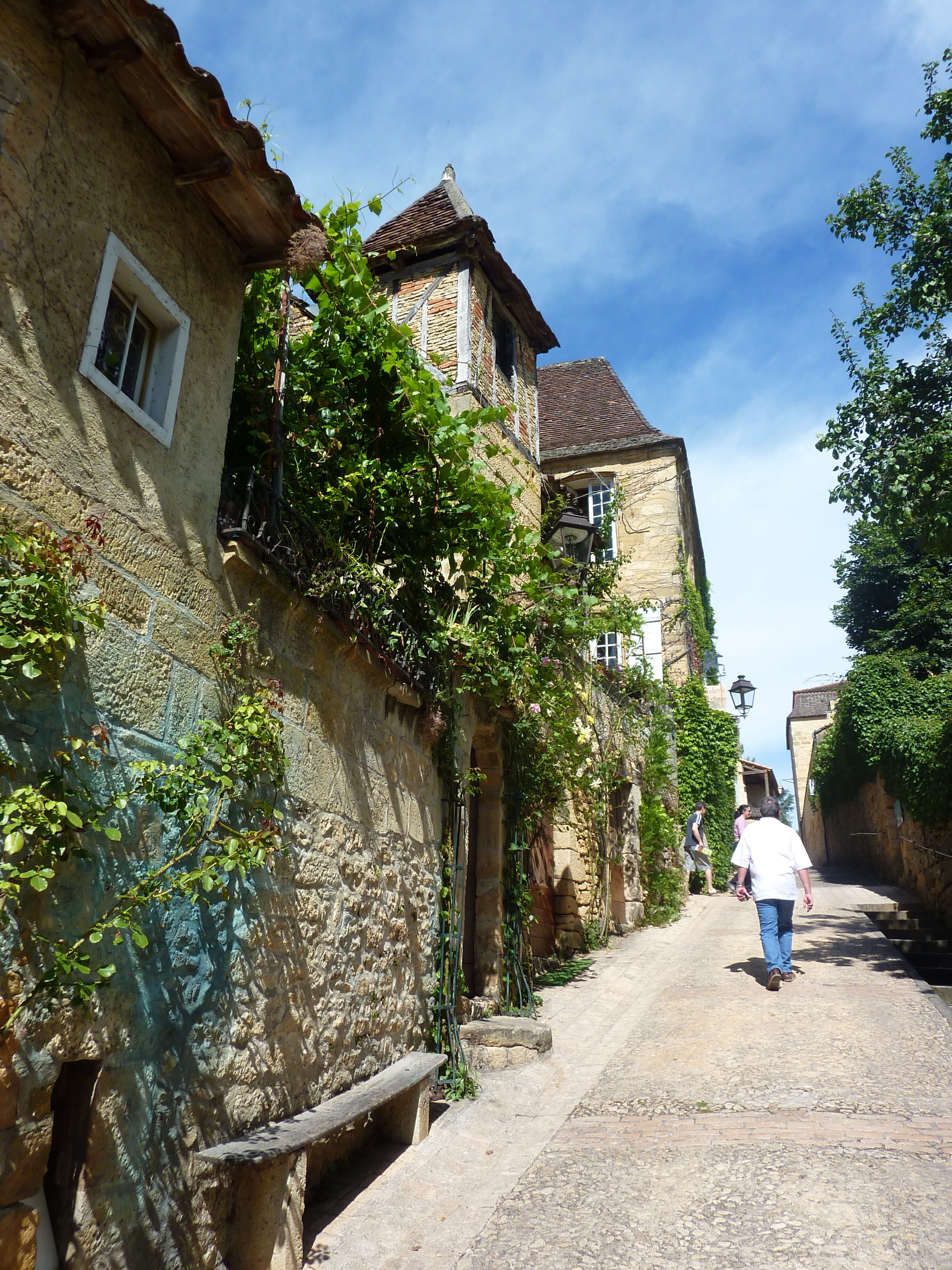 照片 法国(France) 萨尔拉拉卡内达(Sarlat la Caneda) 2009-07 97
